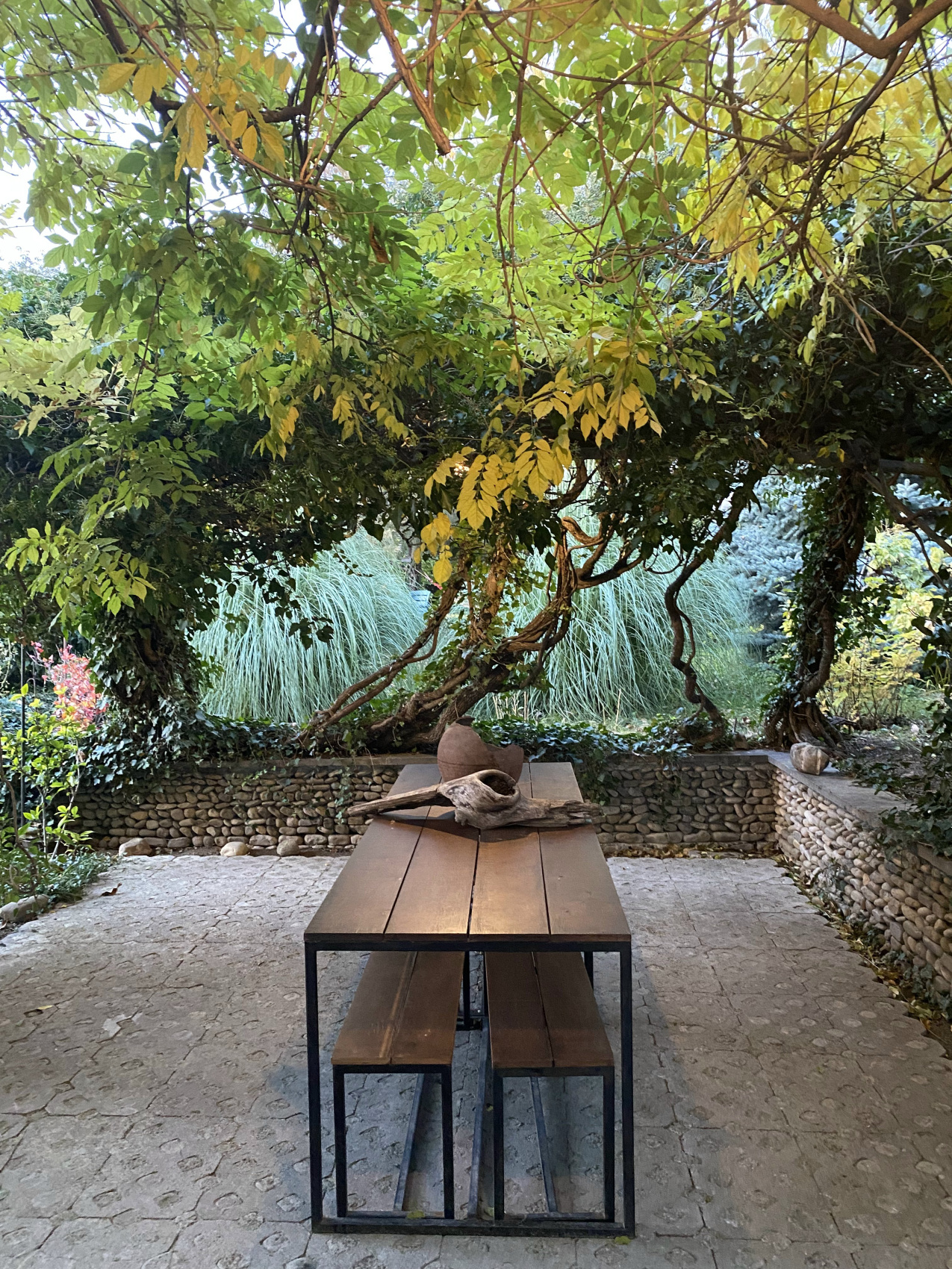 Перезагрузка по-грузински! Лайт. (27/405)