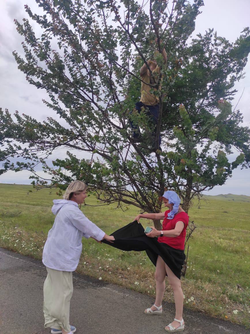 Перезагрузка по-грузински! Лайт. (213/405)