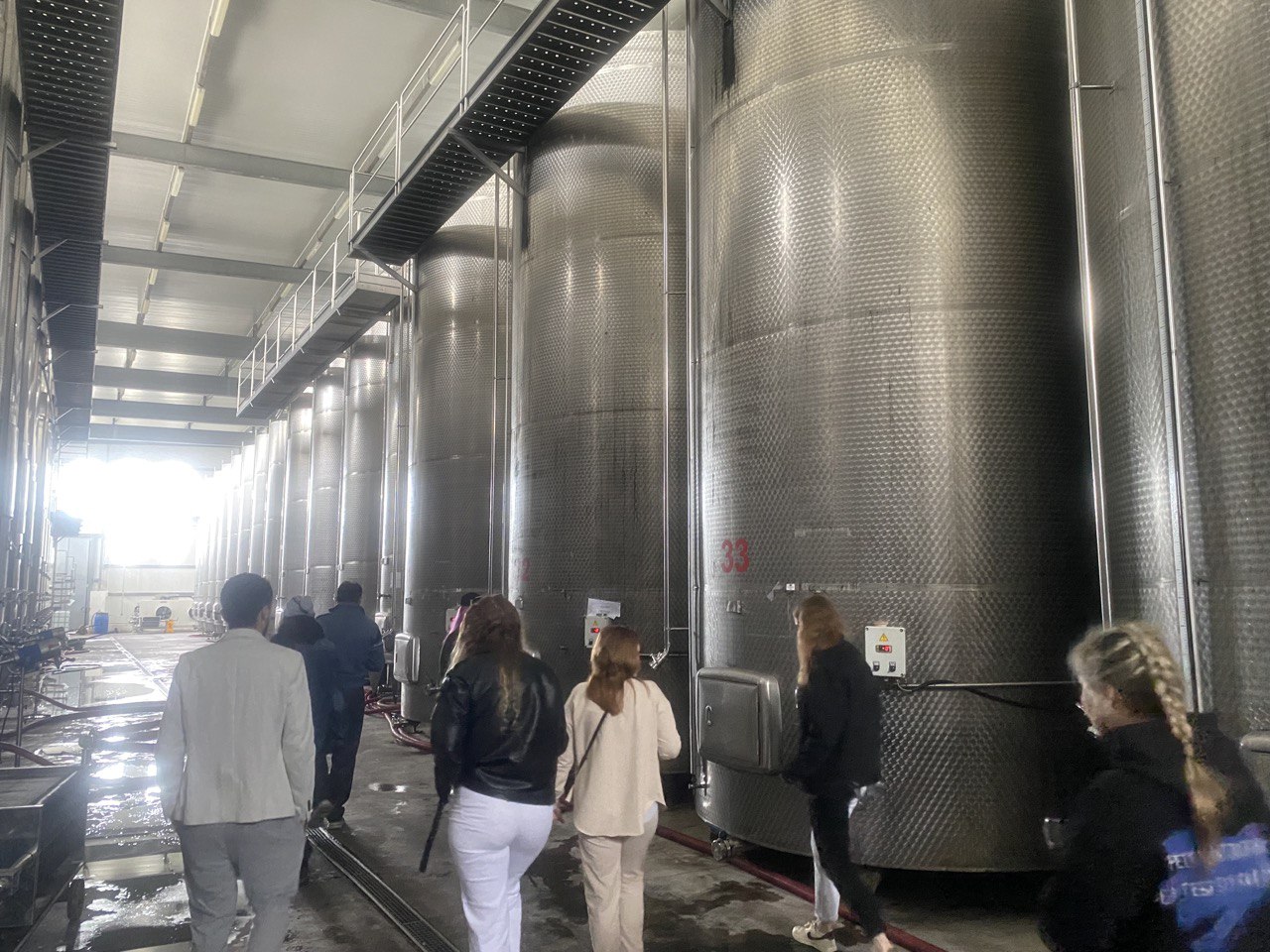 Перезагрузка по-грузински! Лайт. (121/405)