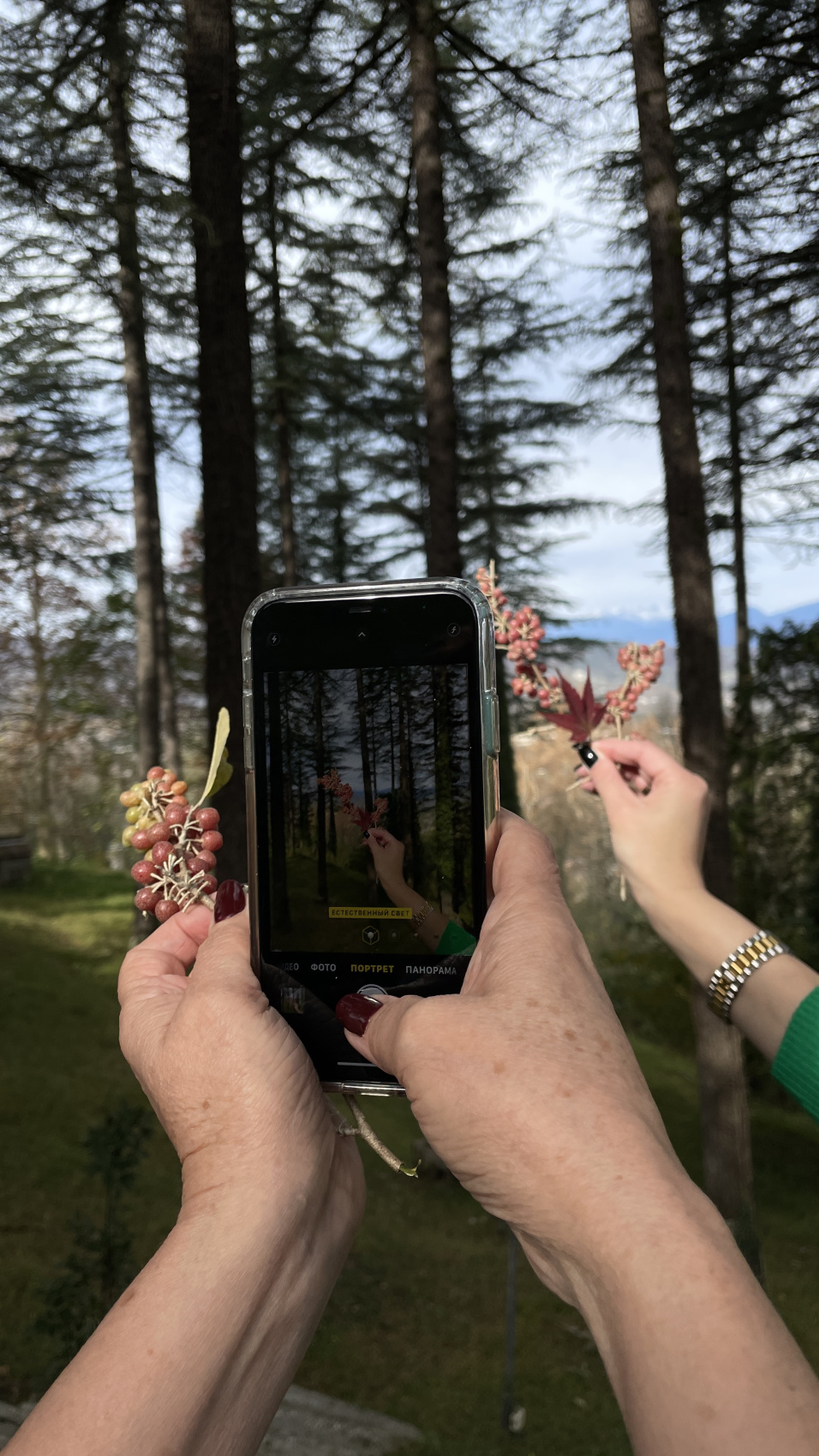 Перезагрузка по-грузински! Лайт. (6/405)