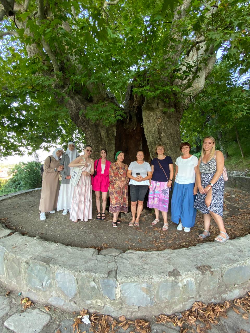 Перезагрузка по-грузински! Лайт. (246/405)