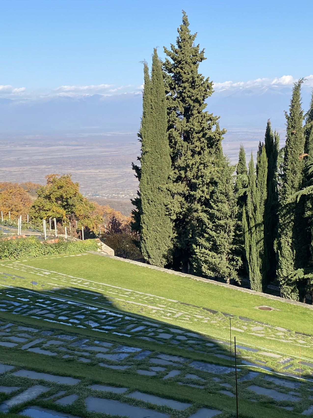 Перезагрузка по-грузински! Лайт. (34/405)