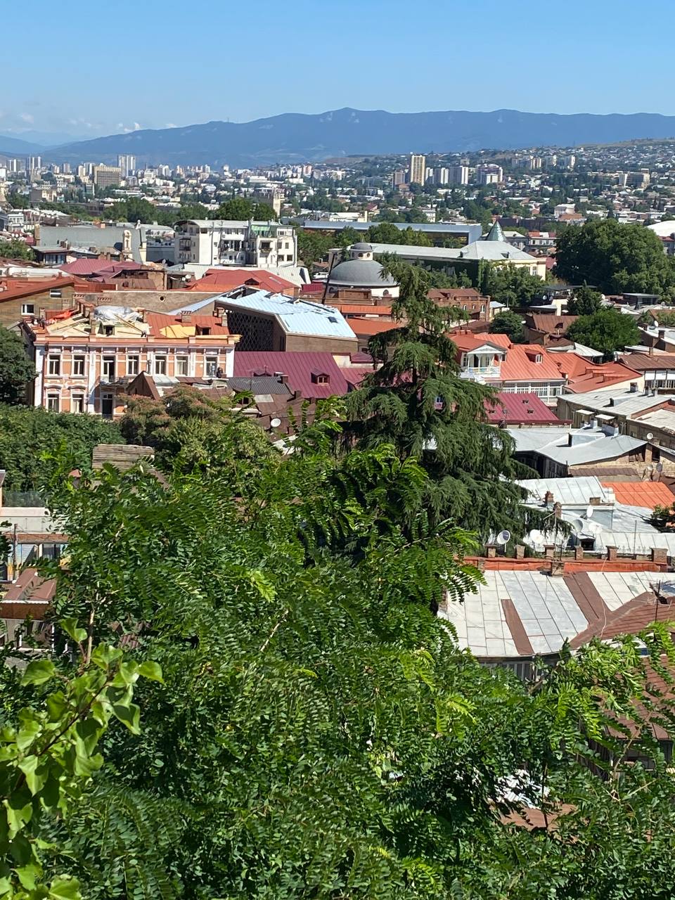 Перезагрузка по-грузински! Лайт. (191/405)