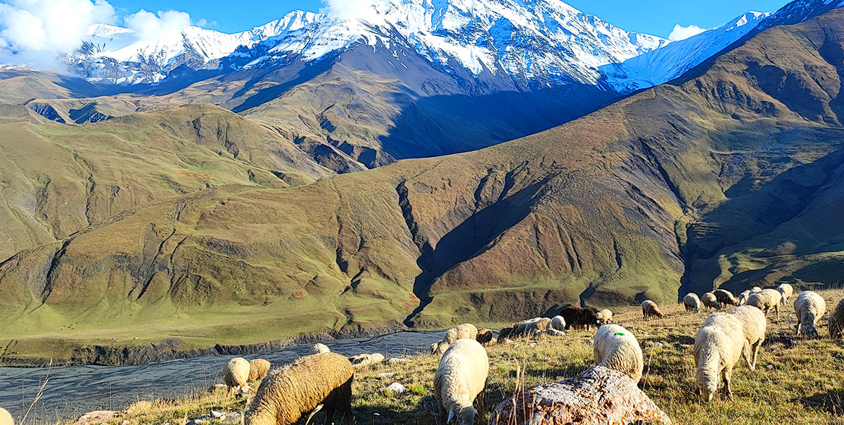 Треккинг в южный Дагестан (13/59)