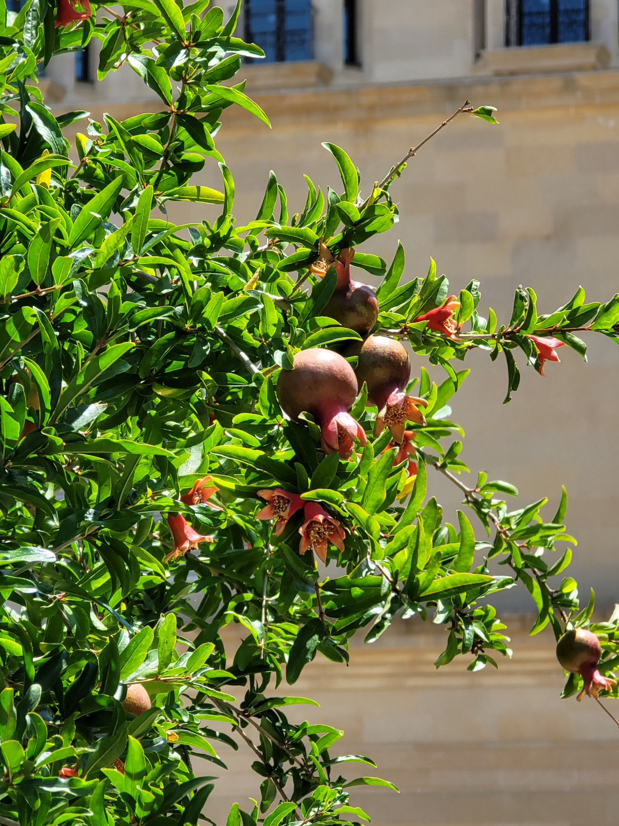 Салам, Баку! (17/81)