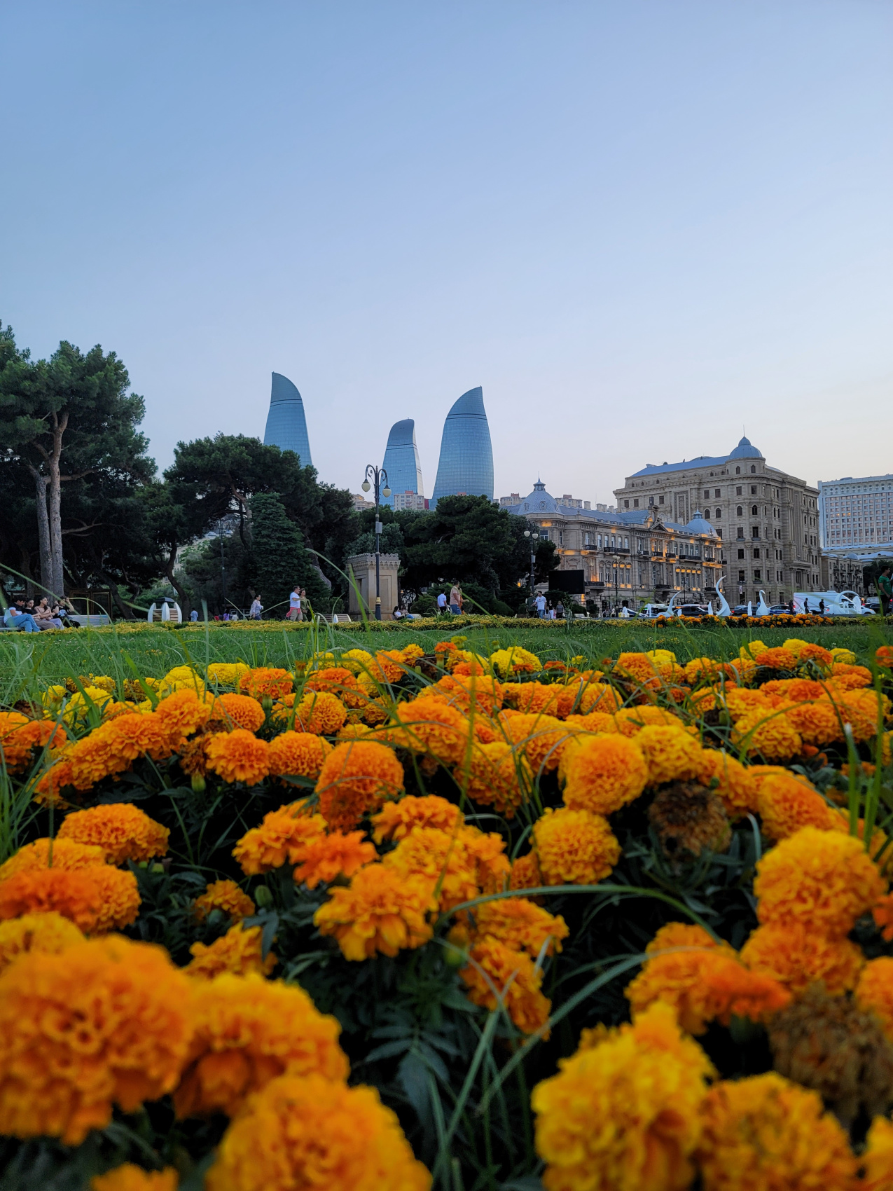 Салам, Баку! (12/81)