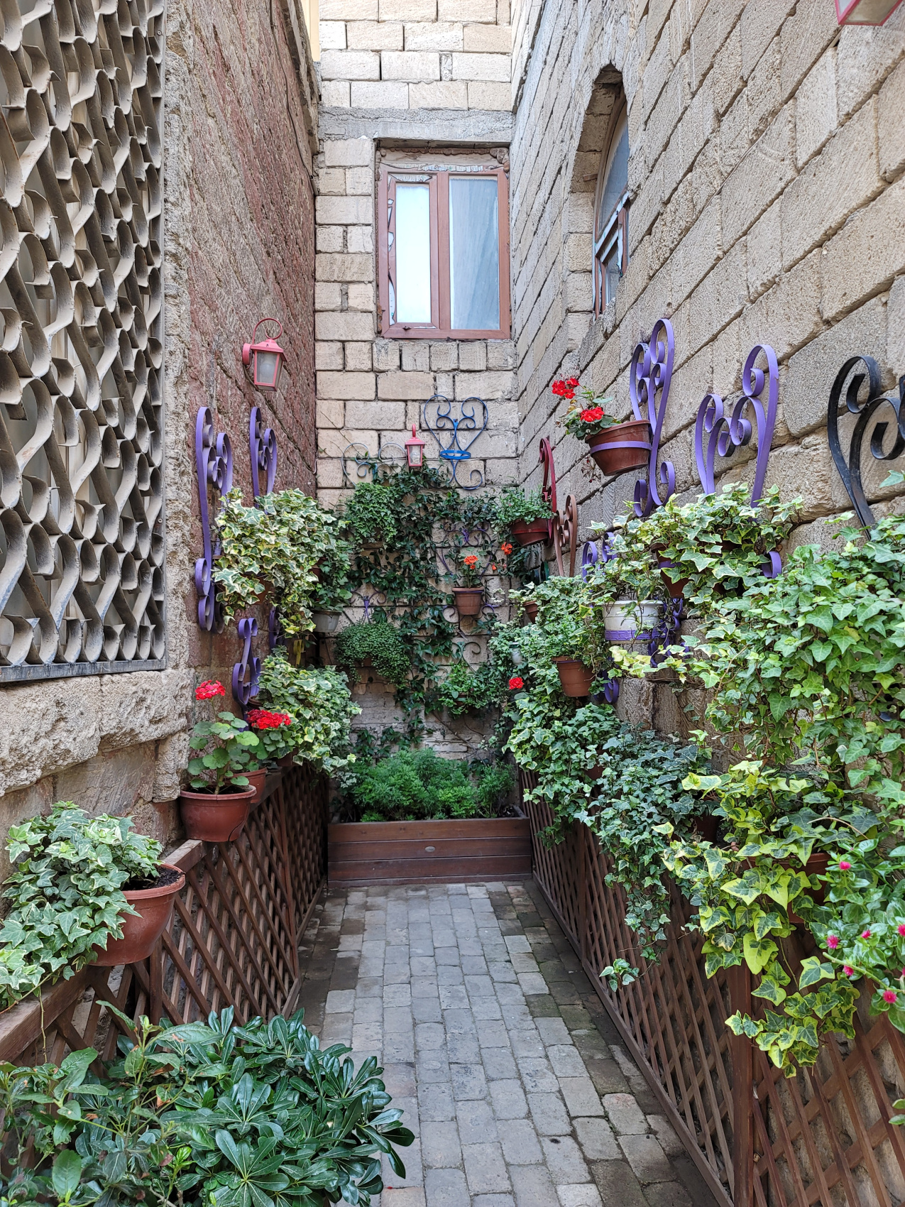 Салам, Баку! (39/81)