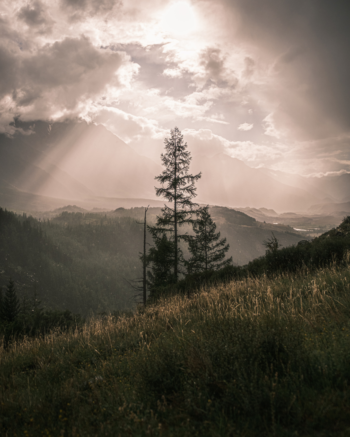 Карагемский Прорыв (23/70)