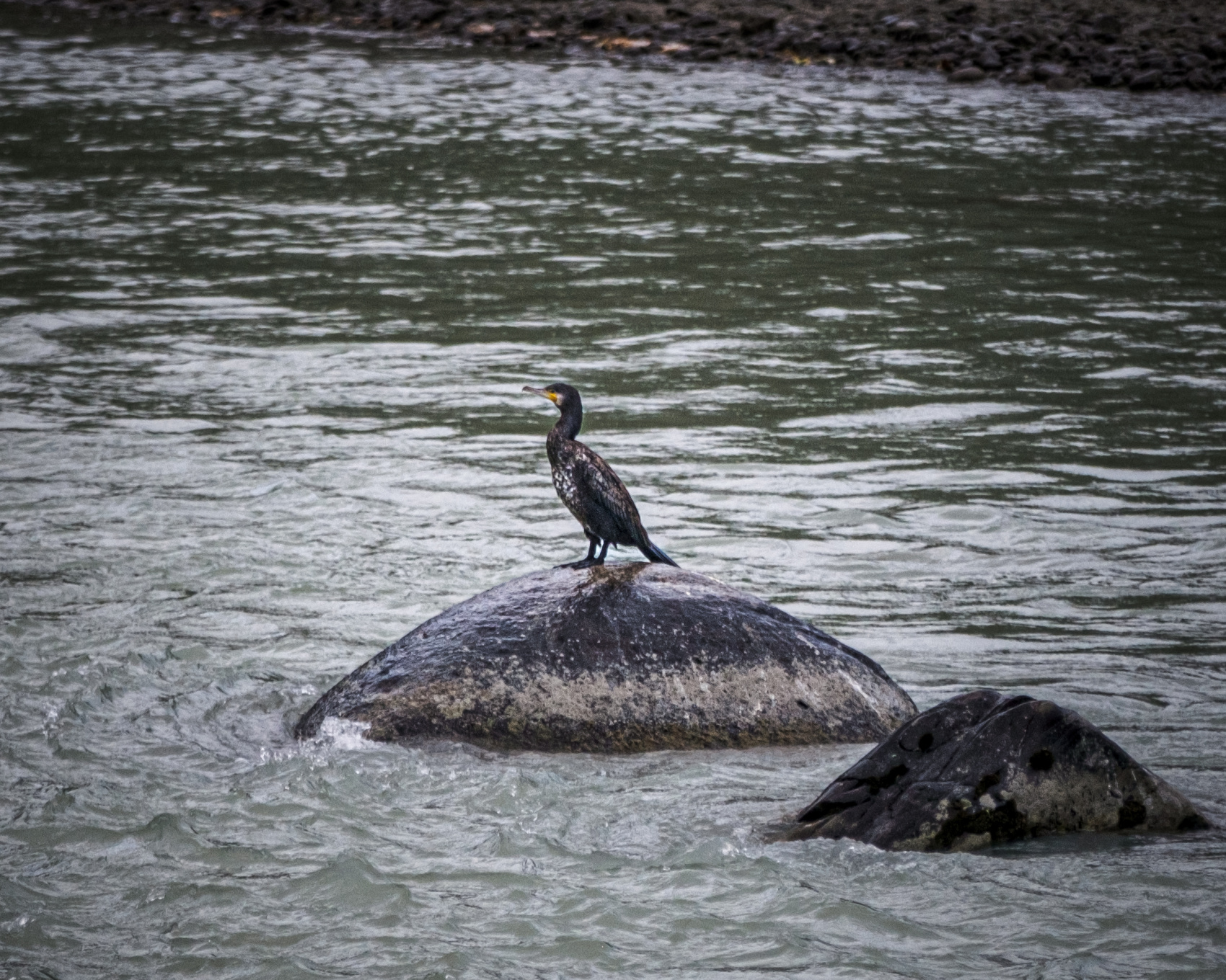 Карагемский Прорыв (28/70)