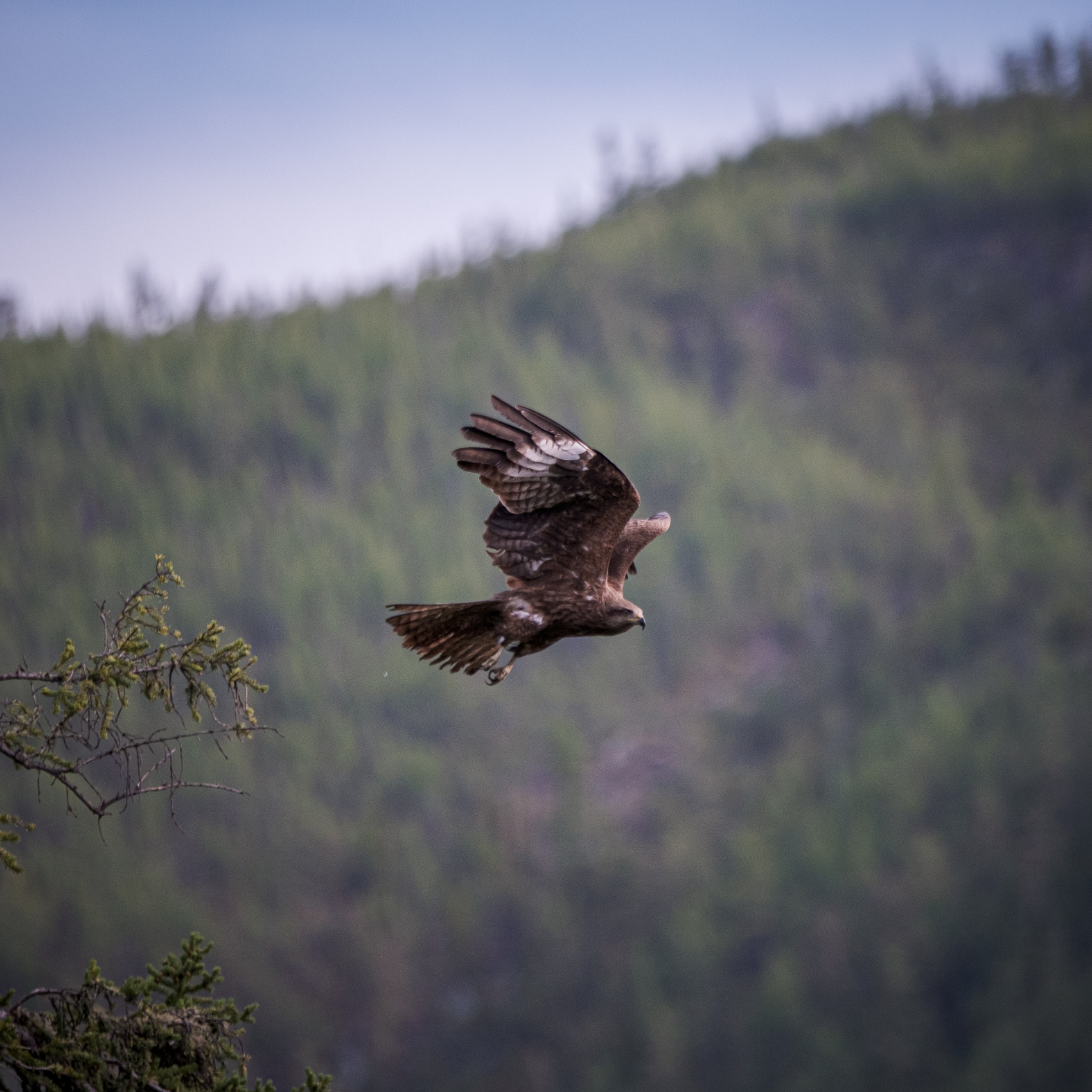 Карагемский Прорыв (32/70)