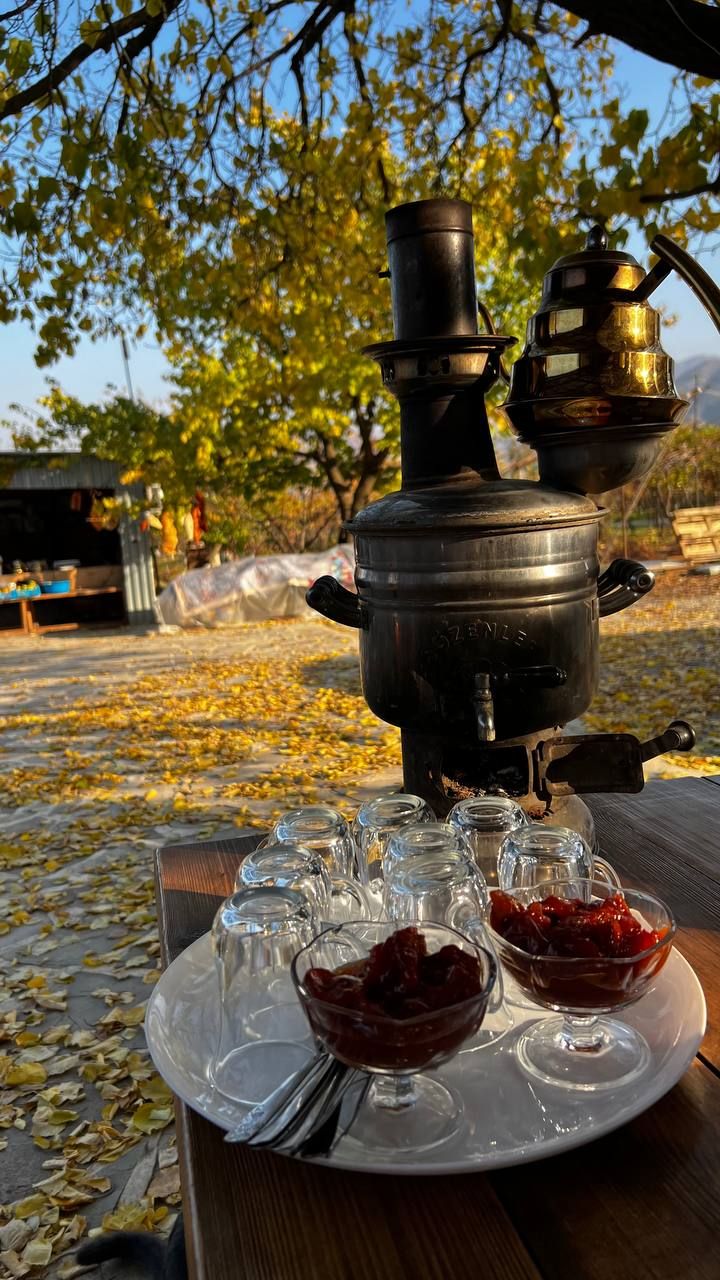 Твой Дагестан за 3 дня (20/36)