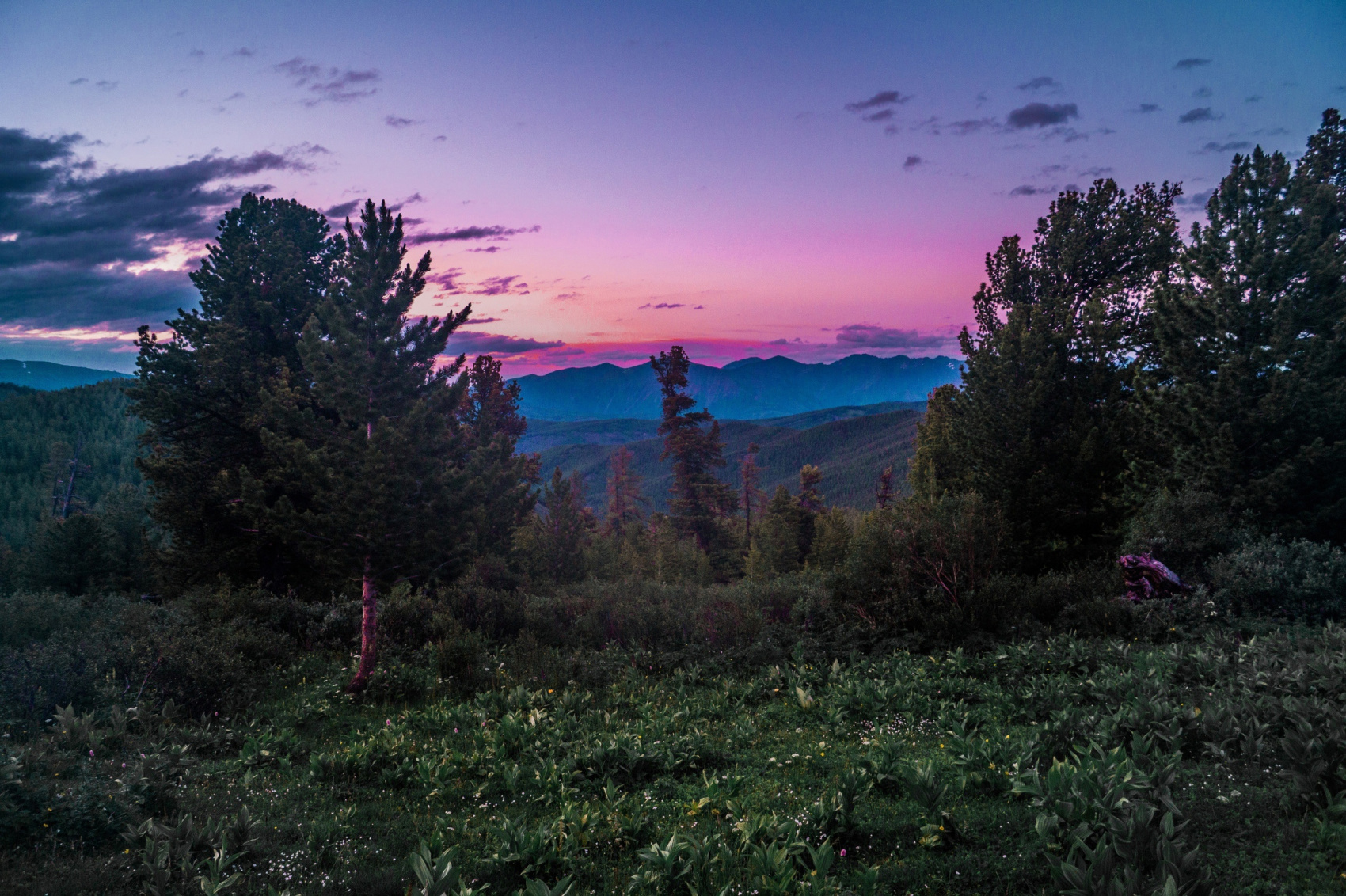 Треккинг к Шавлинским озерам (11/43)