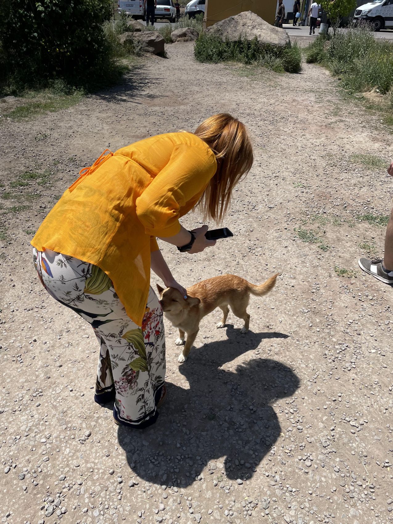 Солнечная Армения 4 полных дня (45/59)