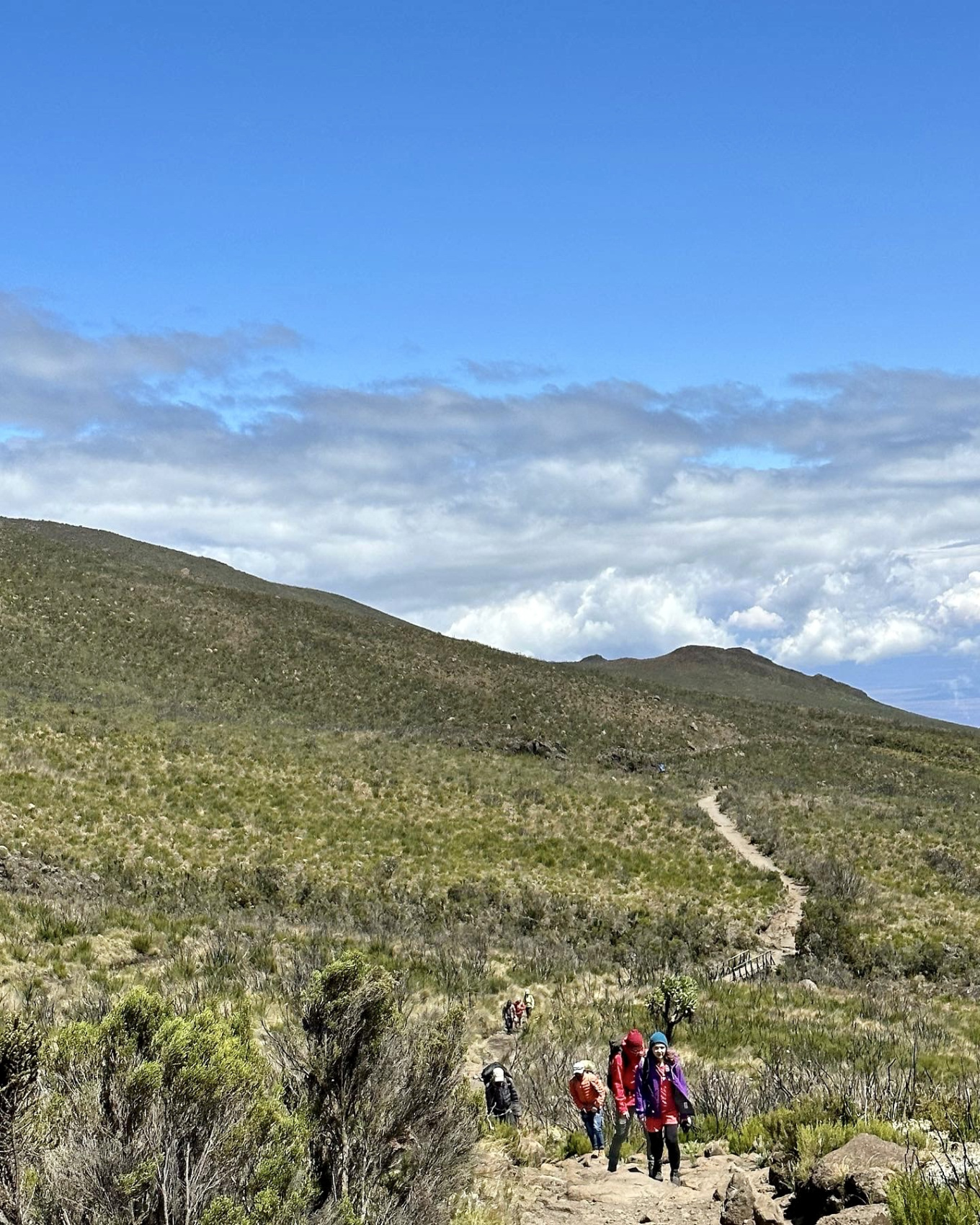 Килиманджаро по маршруту Марангу (9/10)