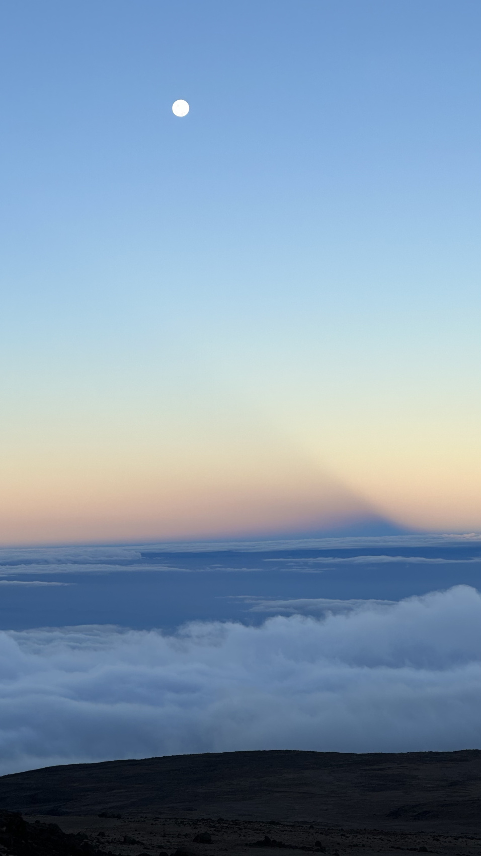 Килиманджаро по маршруту Марангу (8/10)