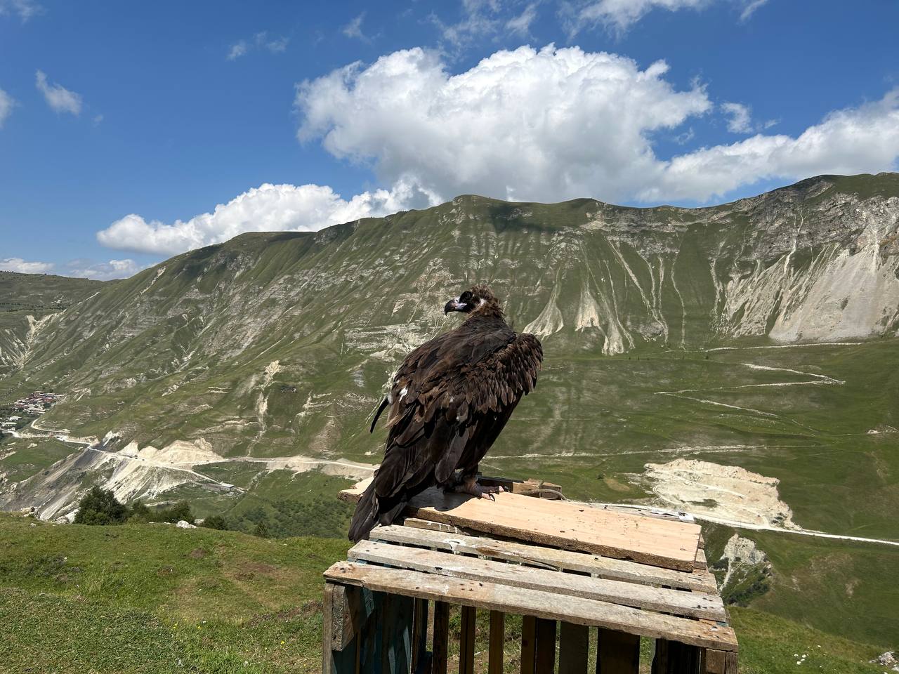 Топ-5 мест в Дагестане + морюшко (41/198)