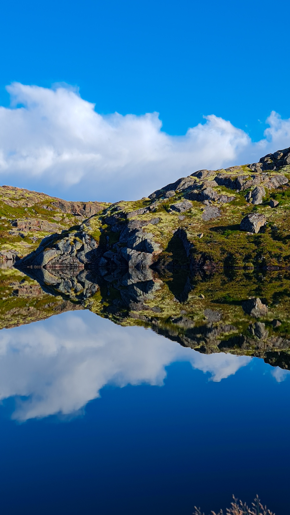 Полуостров Рыбачий. Красота севера без рюкзаков и длинных переходов. (17/56)