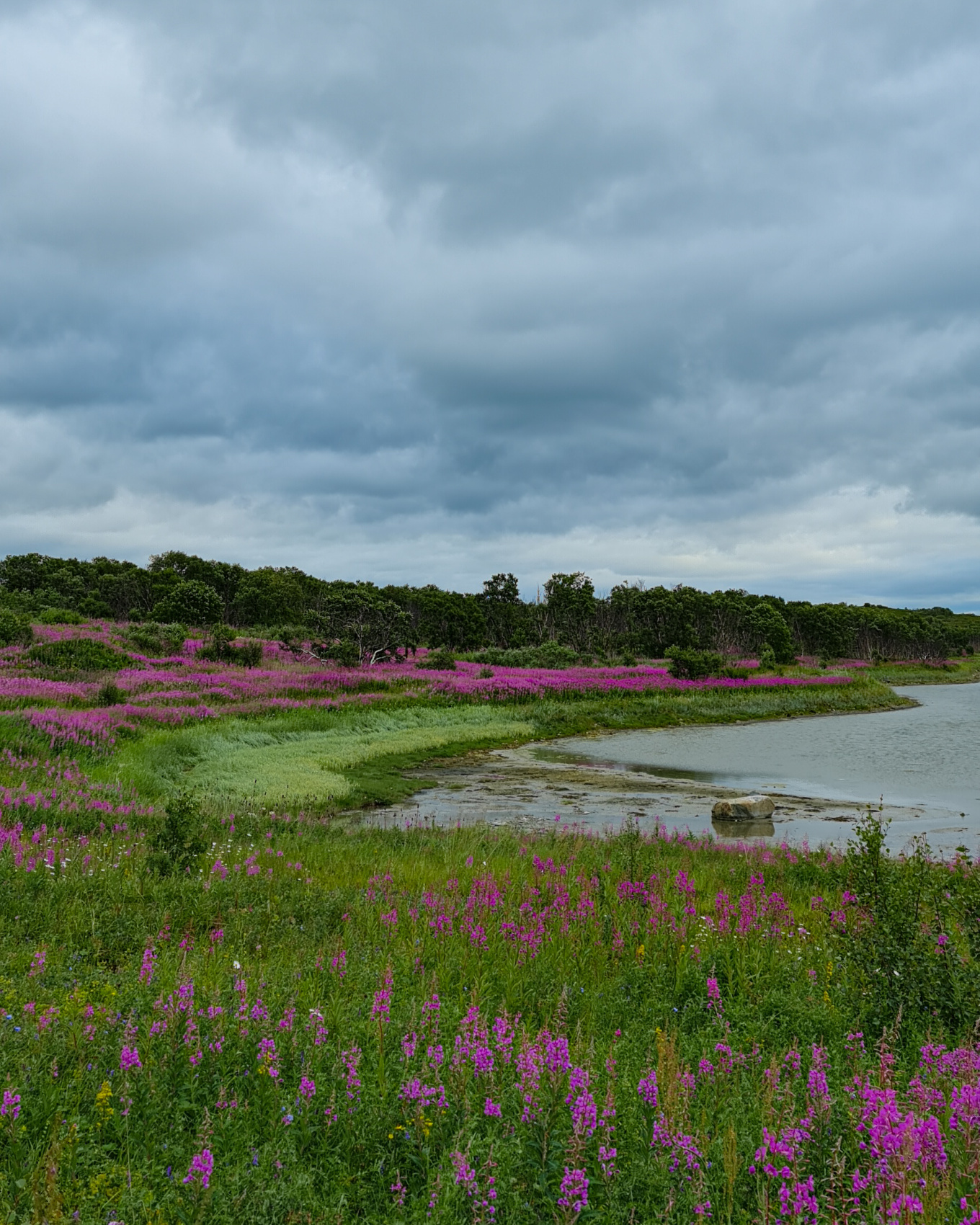 Полуостров Рыбачий. Красота севера без рюкзаков и длинных переходов. (13/56)