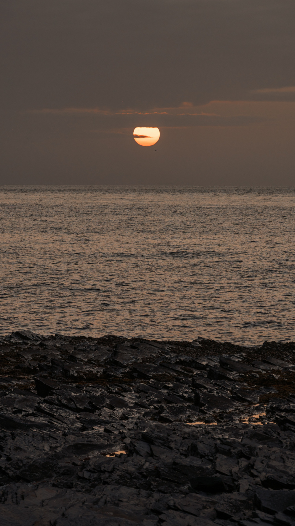 Полуостров Рыбачий. Красота севера без рюкзаков и длинных переходов. (48/56)
