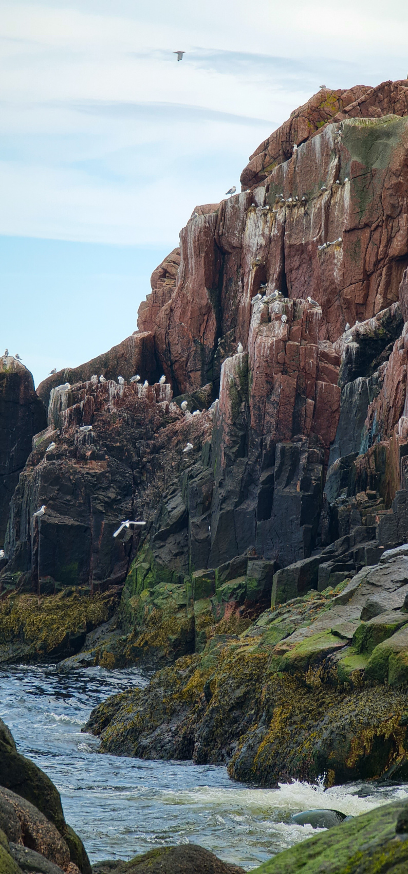 Полуостров Рыбачий. Красота севера без рюкзаков и длинных переходов. (4/56)