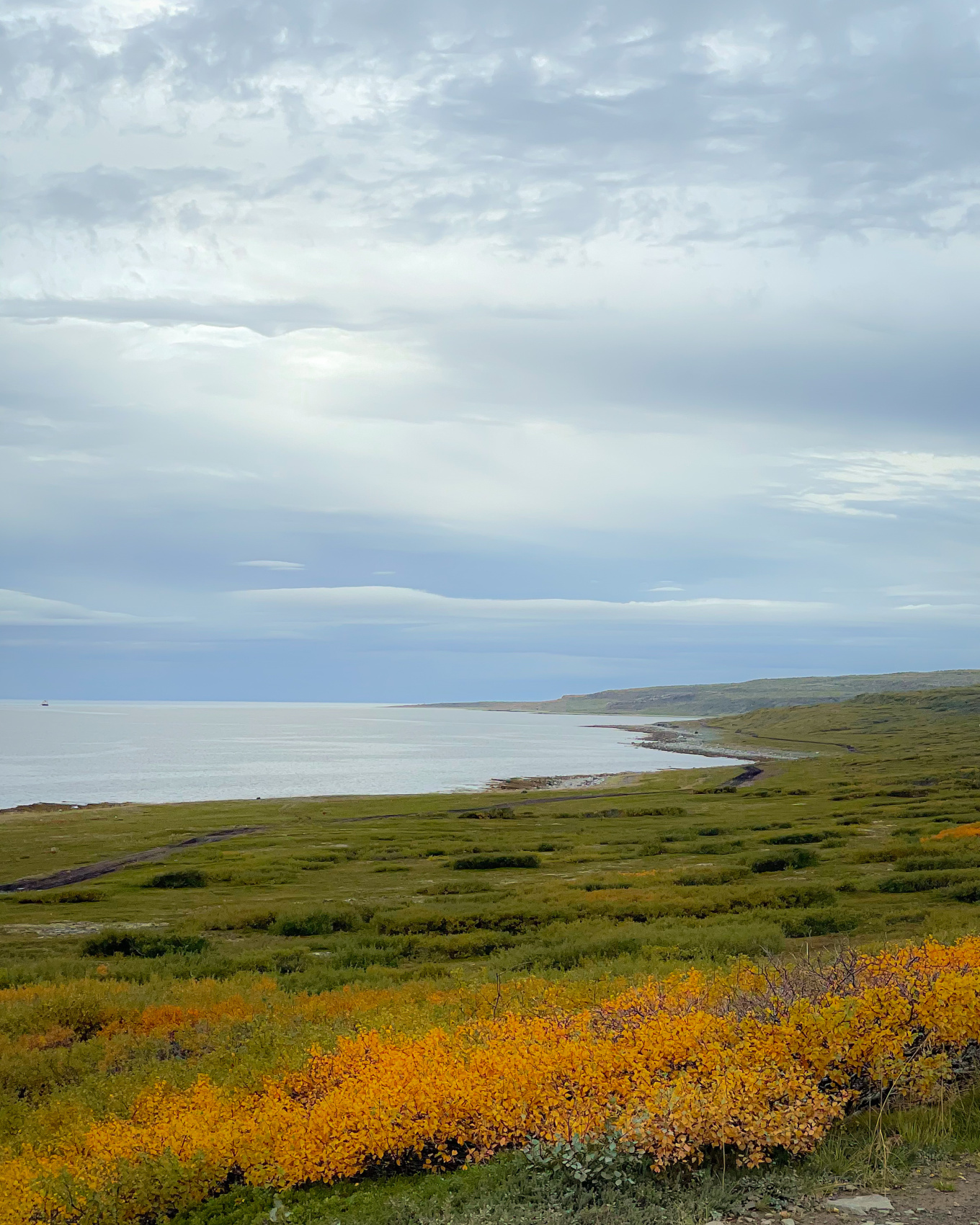 Полуостров Рыбачий. Красота севера без рюкзаков и длинных переходов. (21/56)