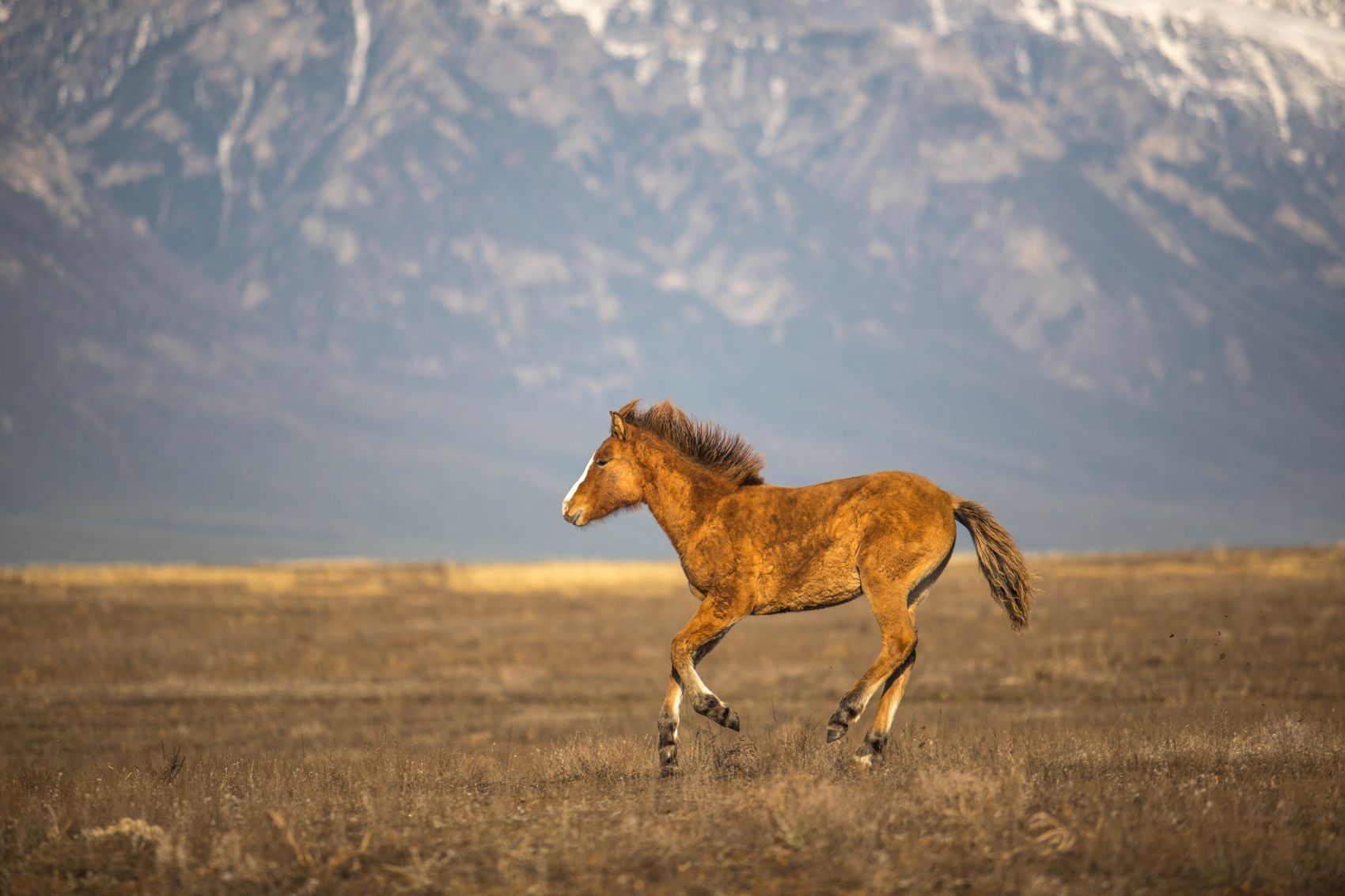 Байкал: Баргузинская Долина Пески Горы и Тайга в Эксклюзивном Путешествии по Бурятии (19/60)