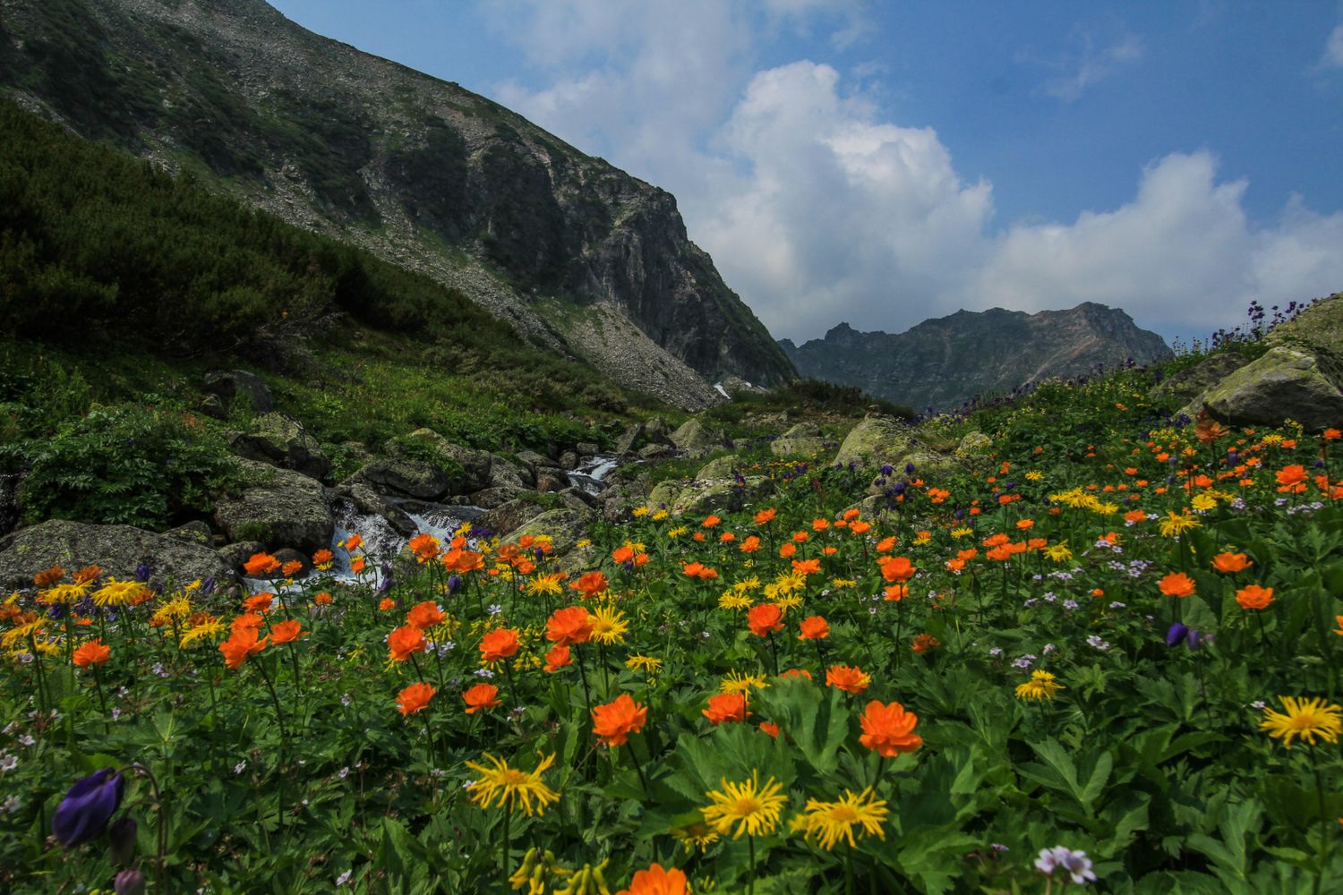 Байкал: Баргузинская Долина Пески Горы и Тайга в Эксклюзивном Путешествии по Бурятии (20/60)