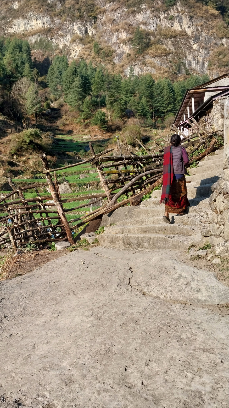 Поход вокруг Аннапурны и озеро Тиличо (38/183)