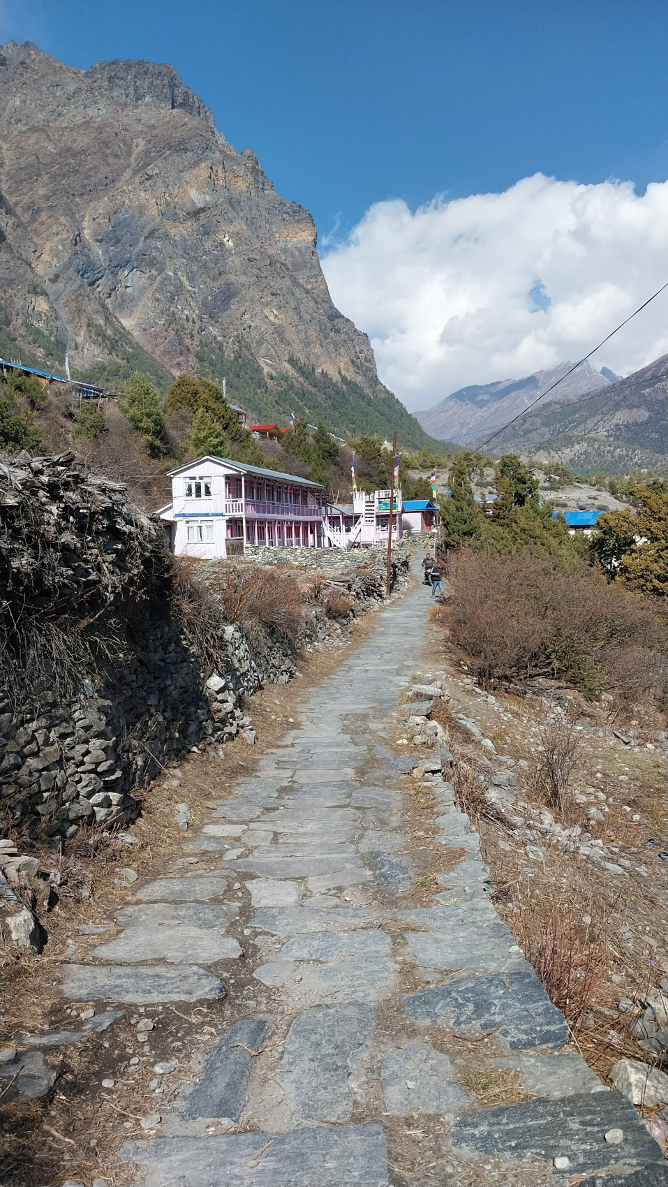 Поход вокруг Аннапурны и озеро Тиличо (72/183)