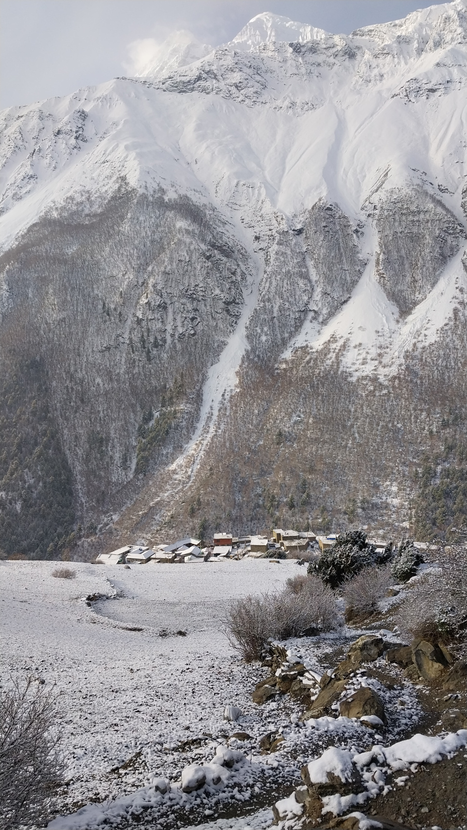 Поход вокруг Аннапурны и озеро Тиличо (115/183)