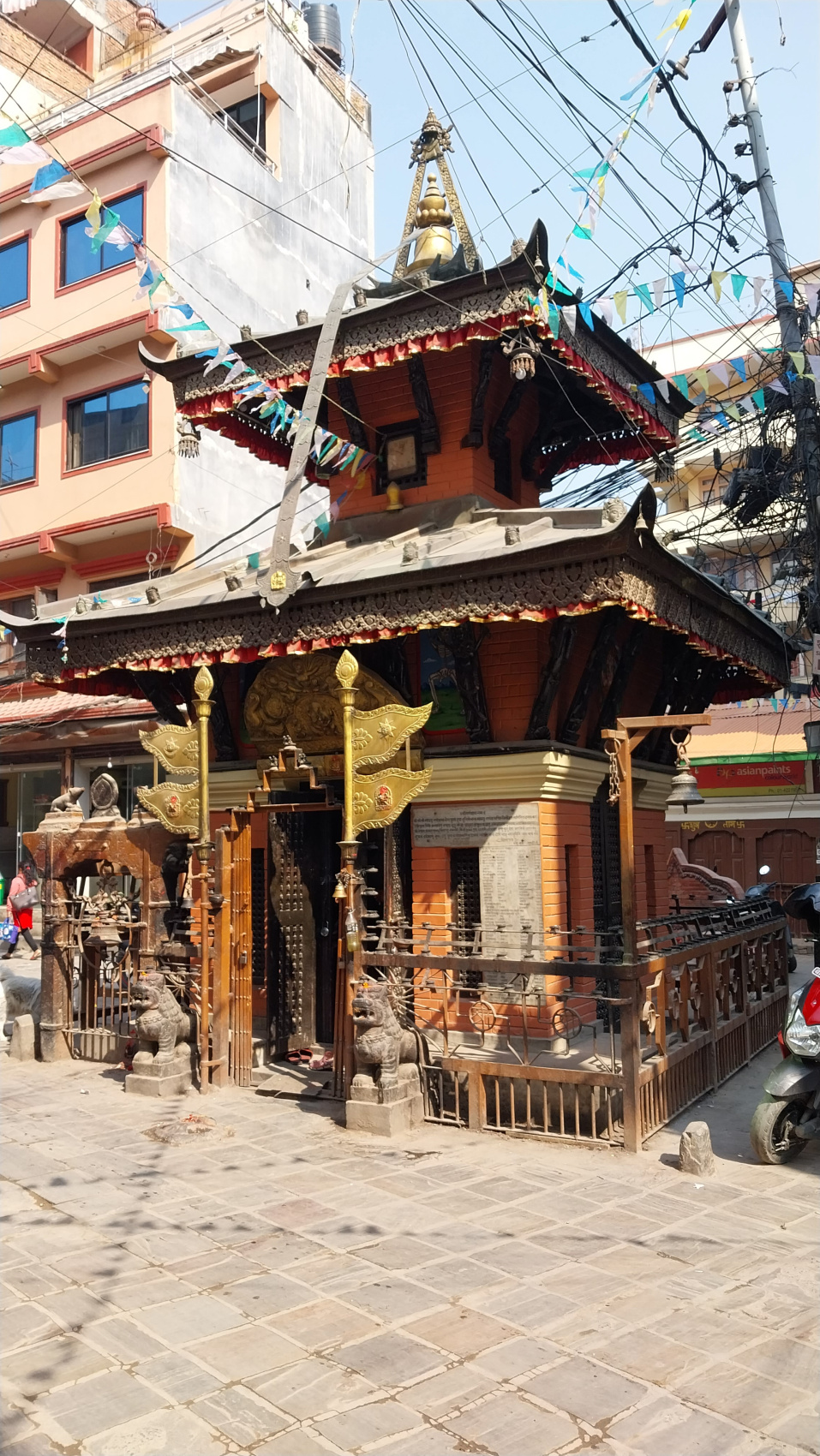 Поход вокруг Аннапурны и озеро Тиличо (14/183)