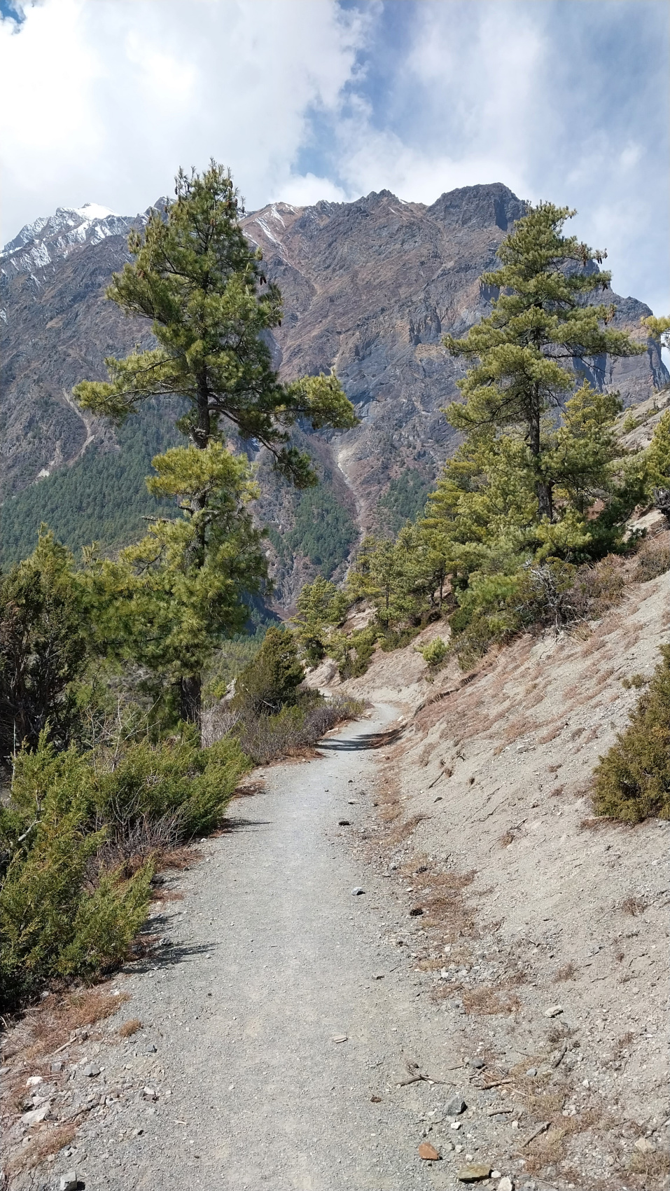 Поход вокруг Аннапурны и озеро Тиличо (82/183)