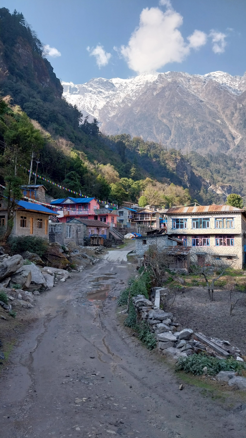 Поход вокруг Аннапурны и озеро Тиличо (44/183)