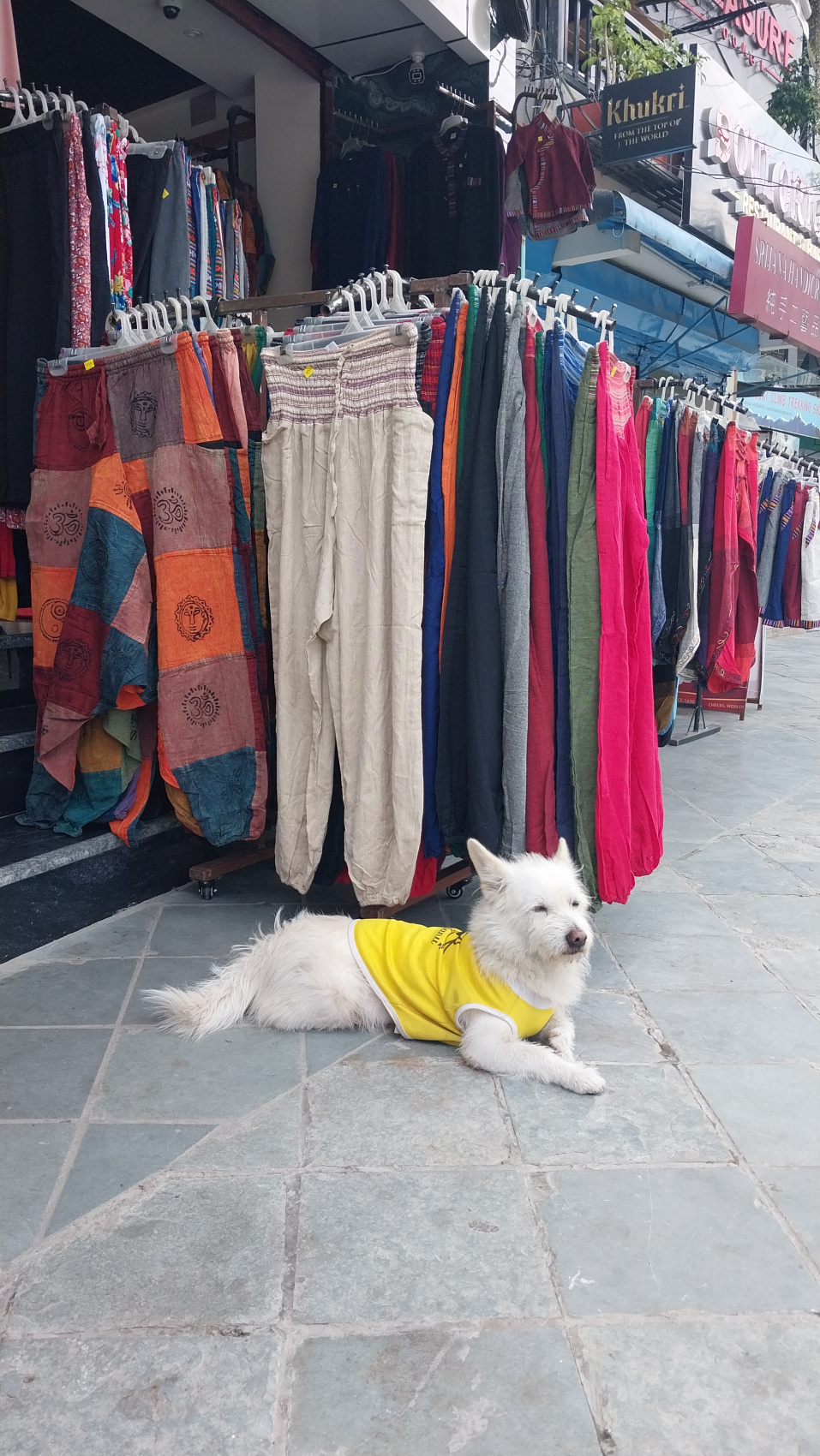 Поход вокруг Аннапурны и озеро Тиличо (141/183)