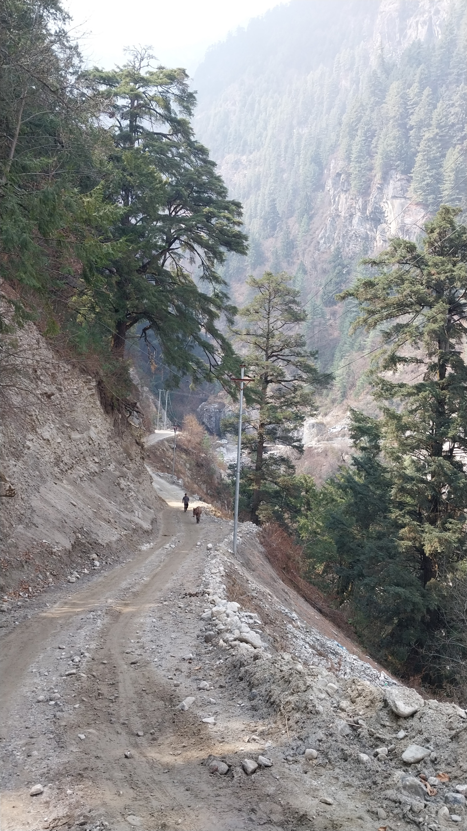 Поход вокруг Аннапурны и озеро Тиличо (52/183)