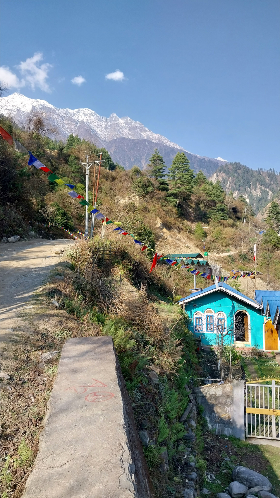 Поход вокруг Аннапурны и озеро Тиличо (41/183)