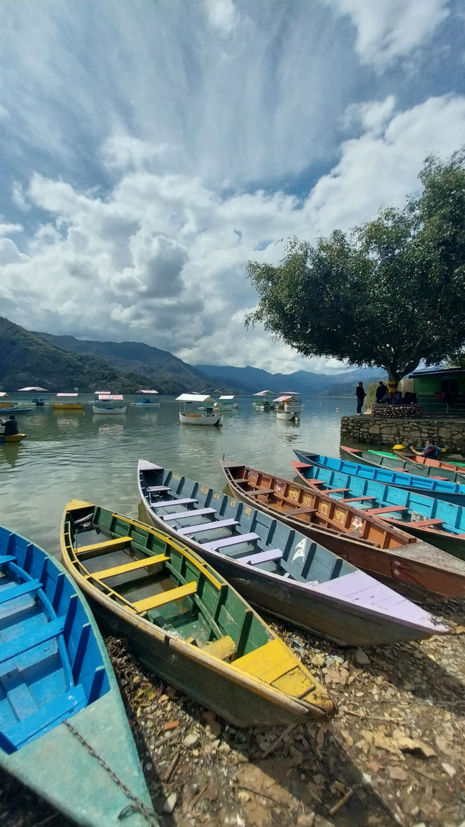 Поход вокруг Аннапурны и озеро Тиличо (137/183)