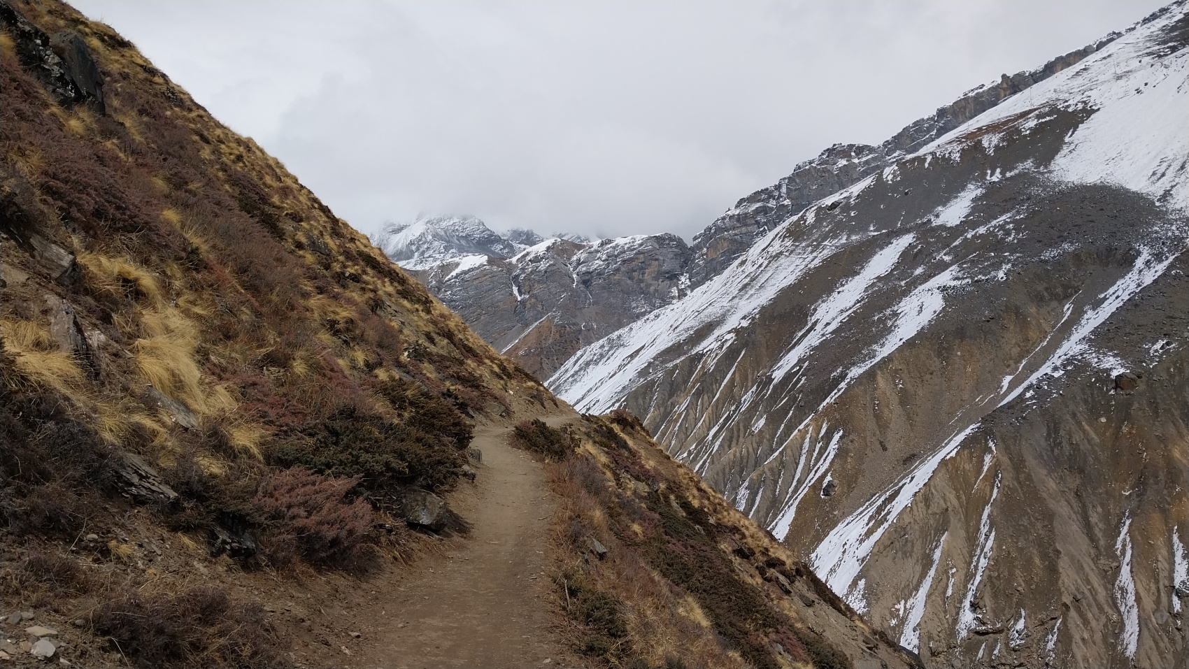 Поход вокруг Аннапурны и озеро Тиличо (124/183)