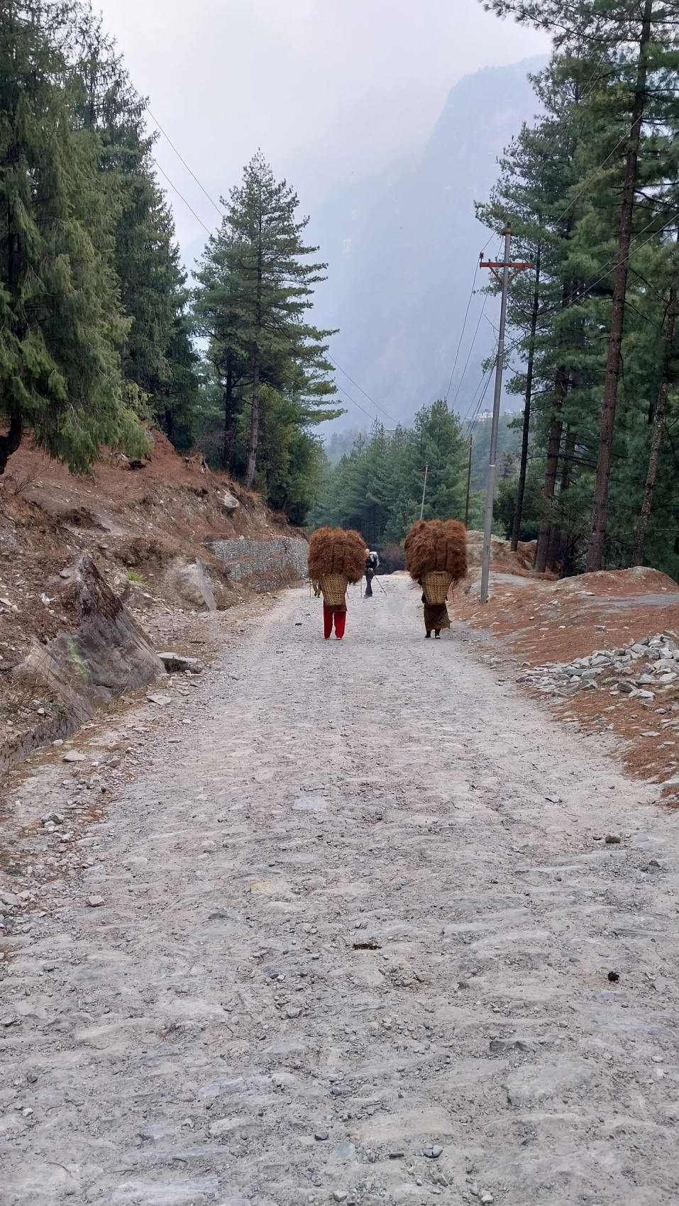 Поход вокруг Аннапурны и озеро Тиличо (57/183)