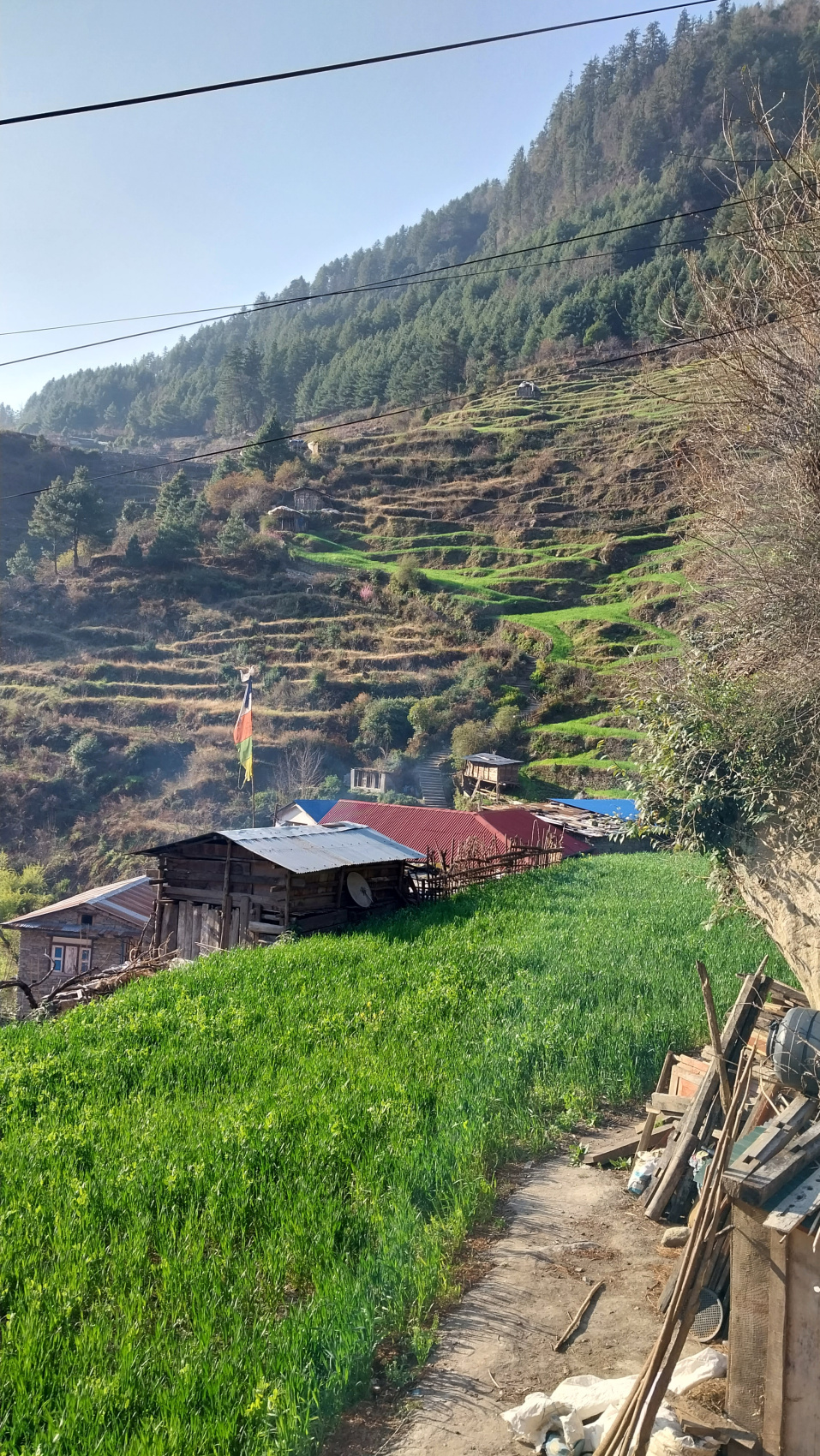 Поход вокруг Аннапурны и озеро Тиличо (37/183)