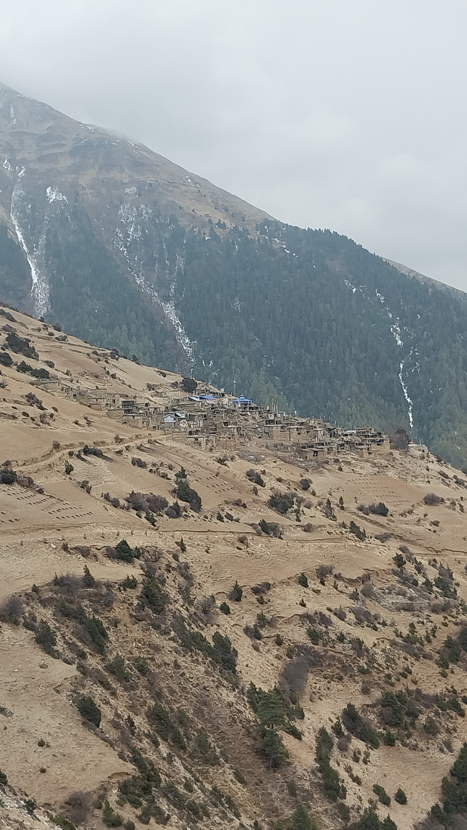 Поход вокруг Аннапурны и озеро Тиличо (88/183)