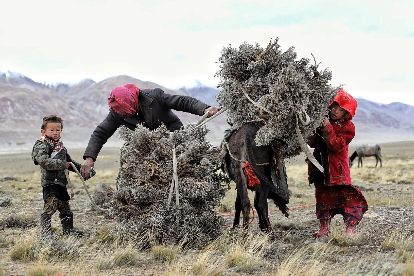 Афганистан: Этно-экспедиция в Ваханский коридор и к горам Памира (10/23)