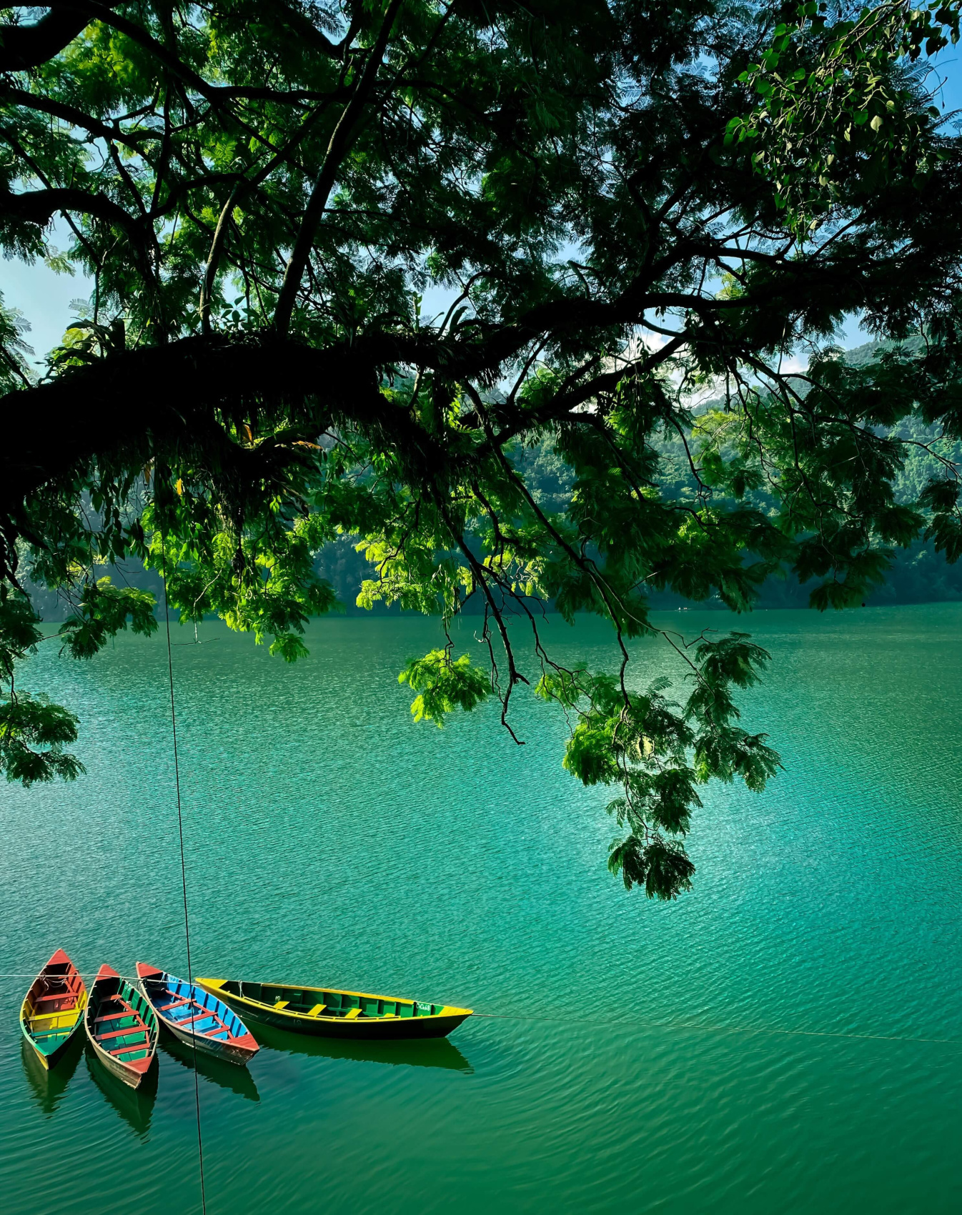 Трек Марди Химал. Священный путь к дому Шивы. (74/105)