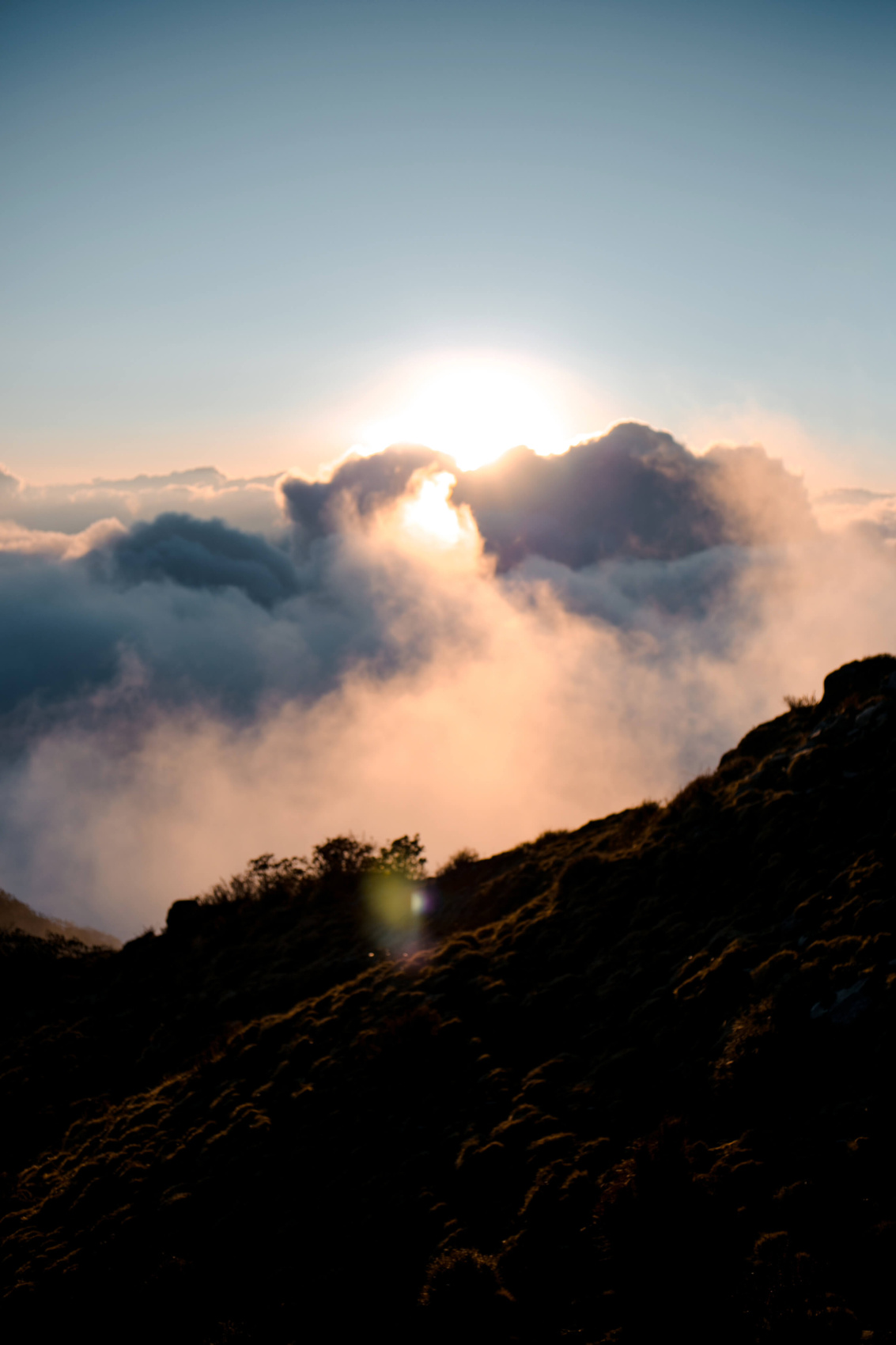 Трек Марди Химал. Священный путь к дому Шивы. (32/105)