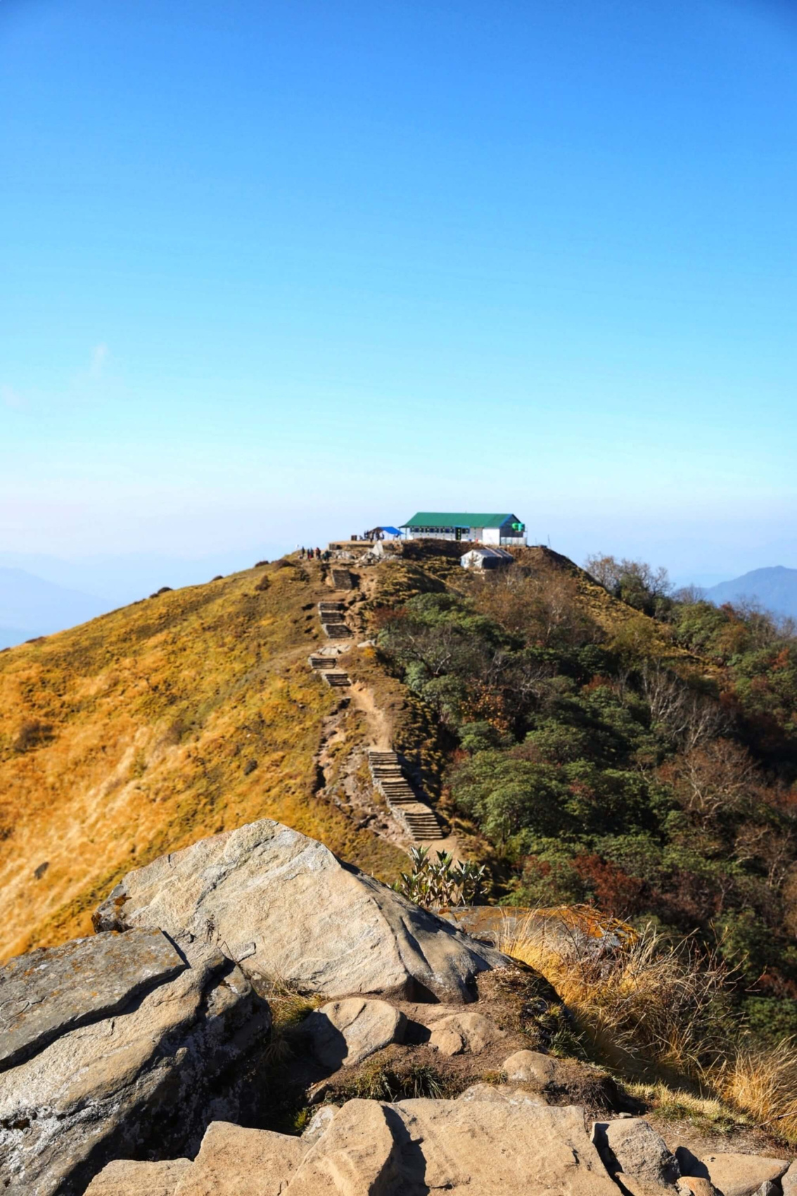 Трек Марди Химал. Священный путь к дому Шивы. (54/105)