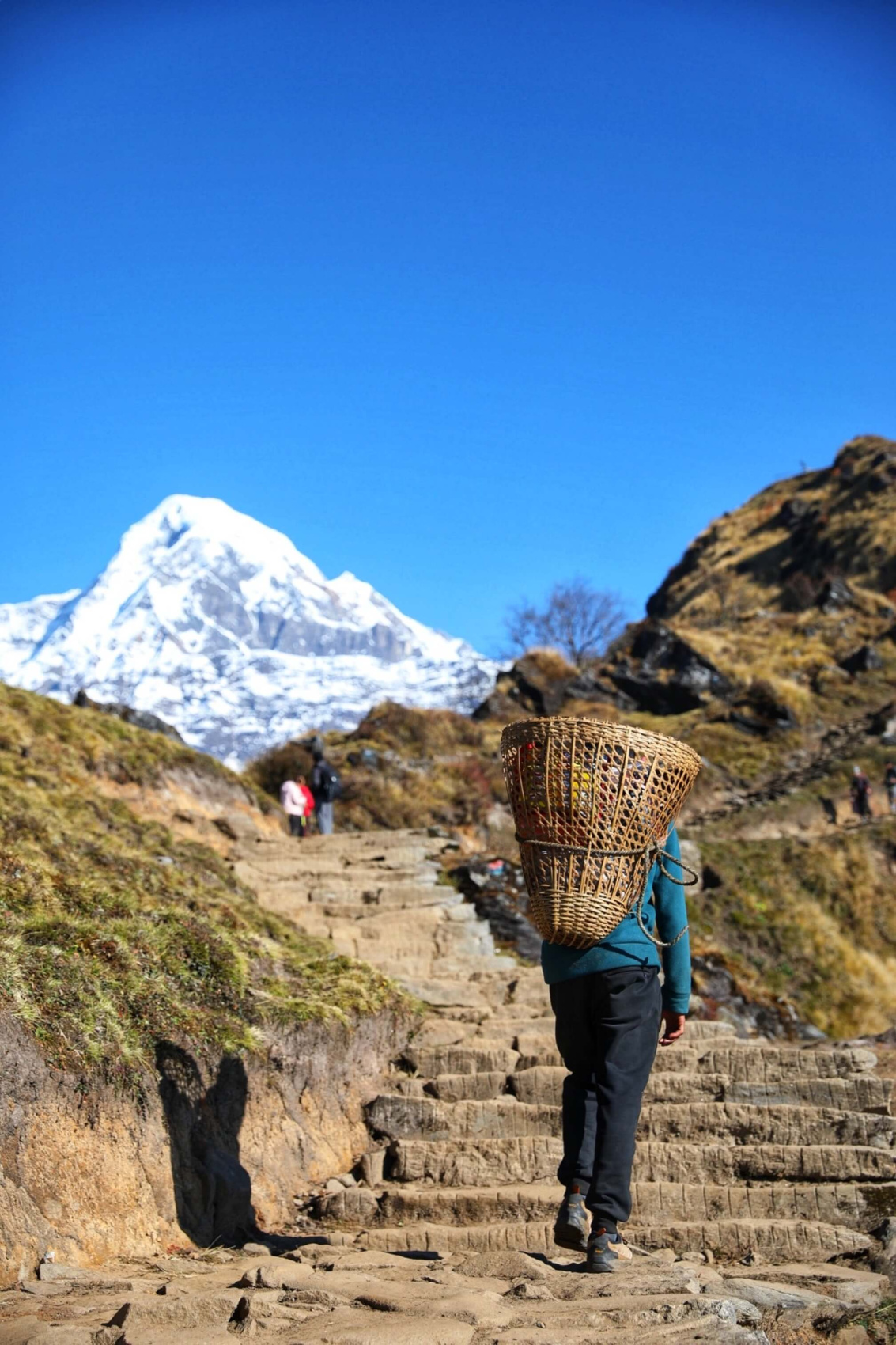Трек Марди Химал. Священный путь к дому Шивы. (53/105)