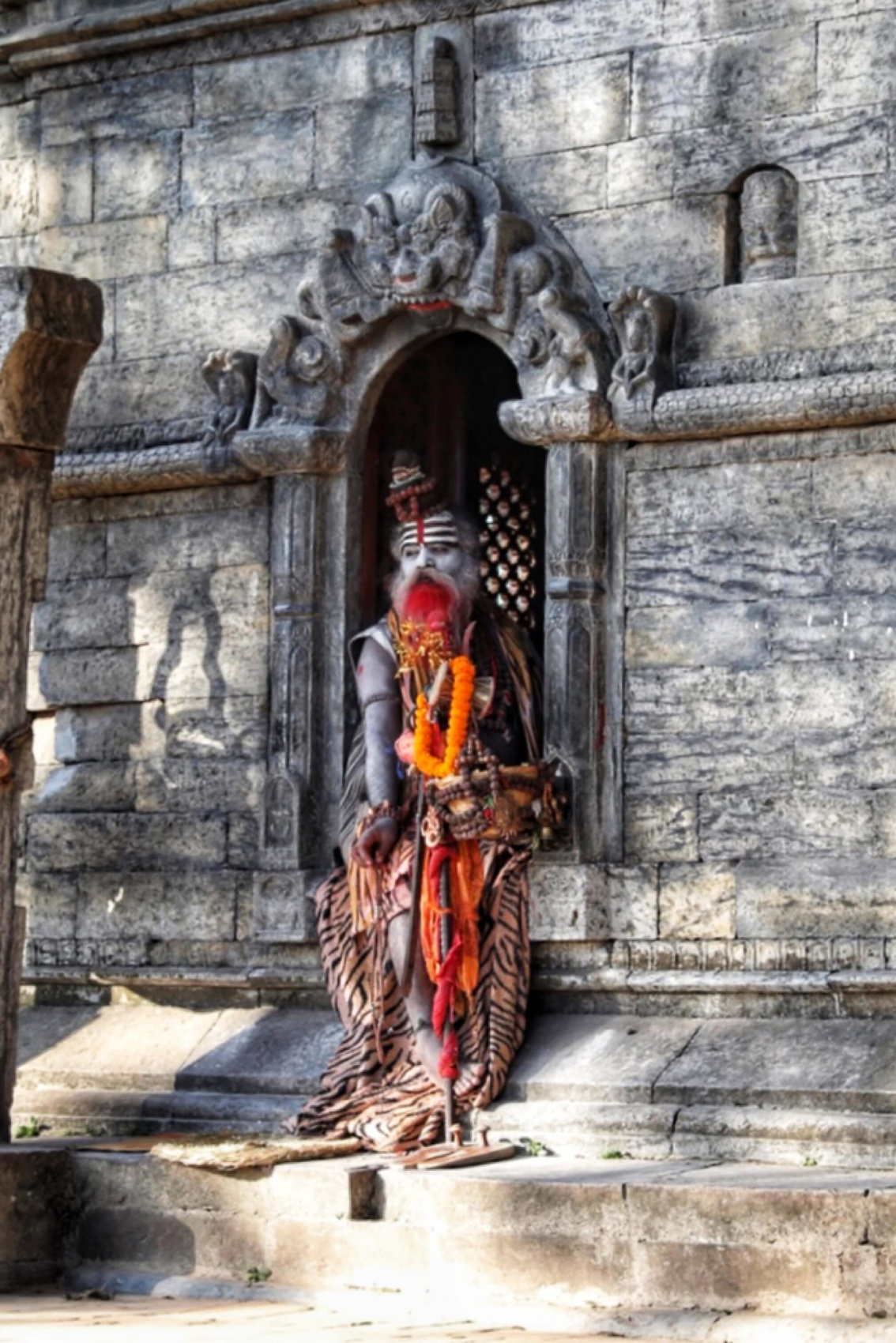 Трек Марди Химал. Священный путь к дому Шивы. (11/105)