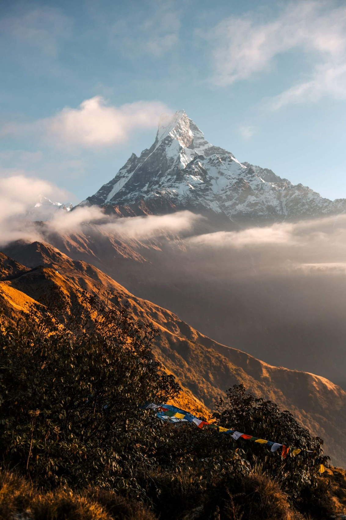 Трек Марди Химал. Священный путь к дому Шивы. (26/105)