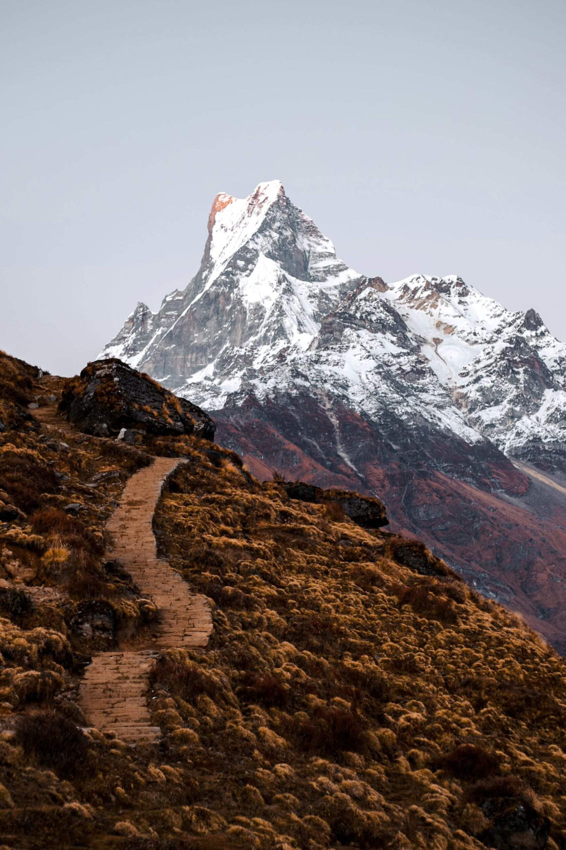 Трек Марди Химал. Священный путь к дому Шивы. (48/105)
