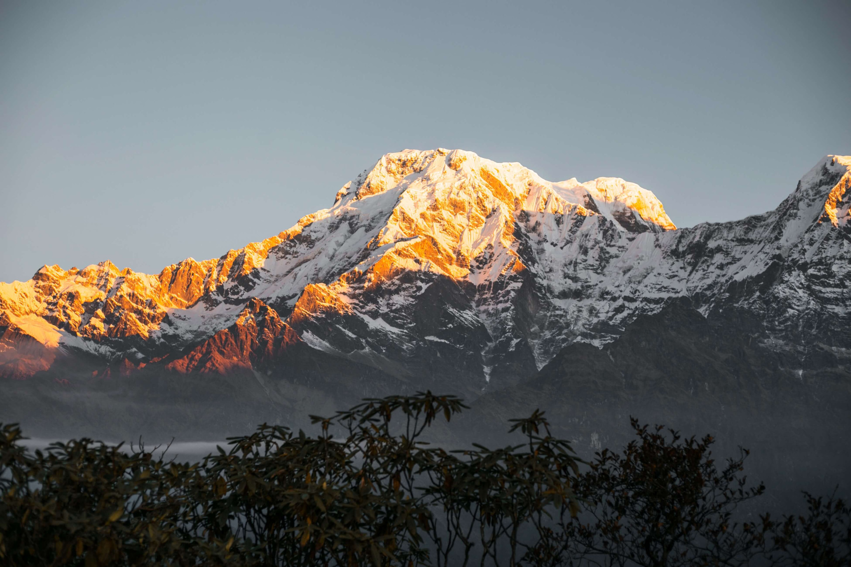 Трек Марди Химал. Священный путь к дому Шивы. (22/105)